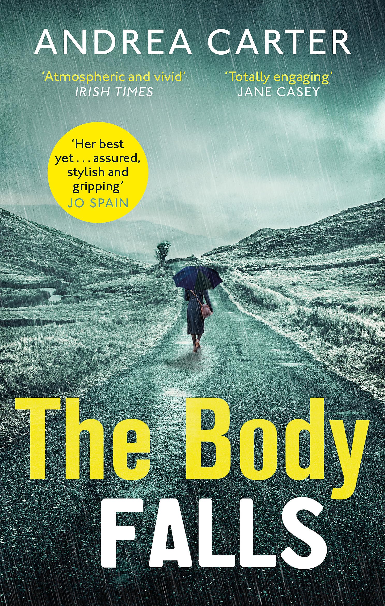The Body Falls (Inishowen Mysteries) Contemporary literature