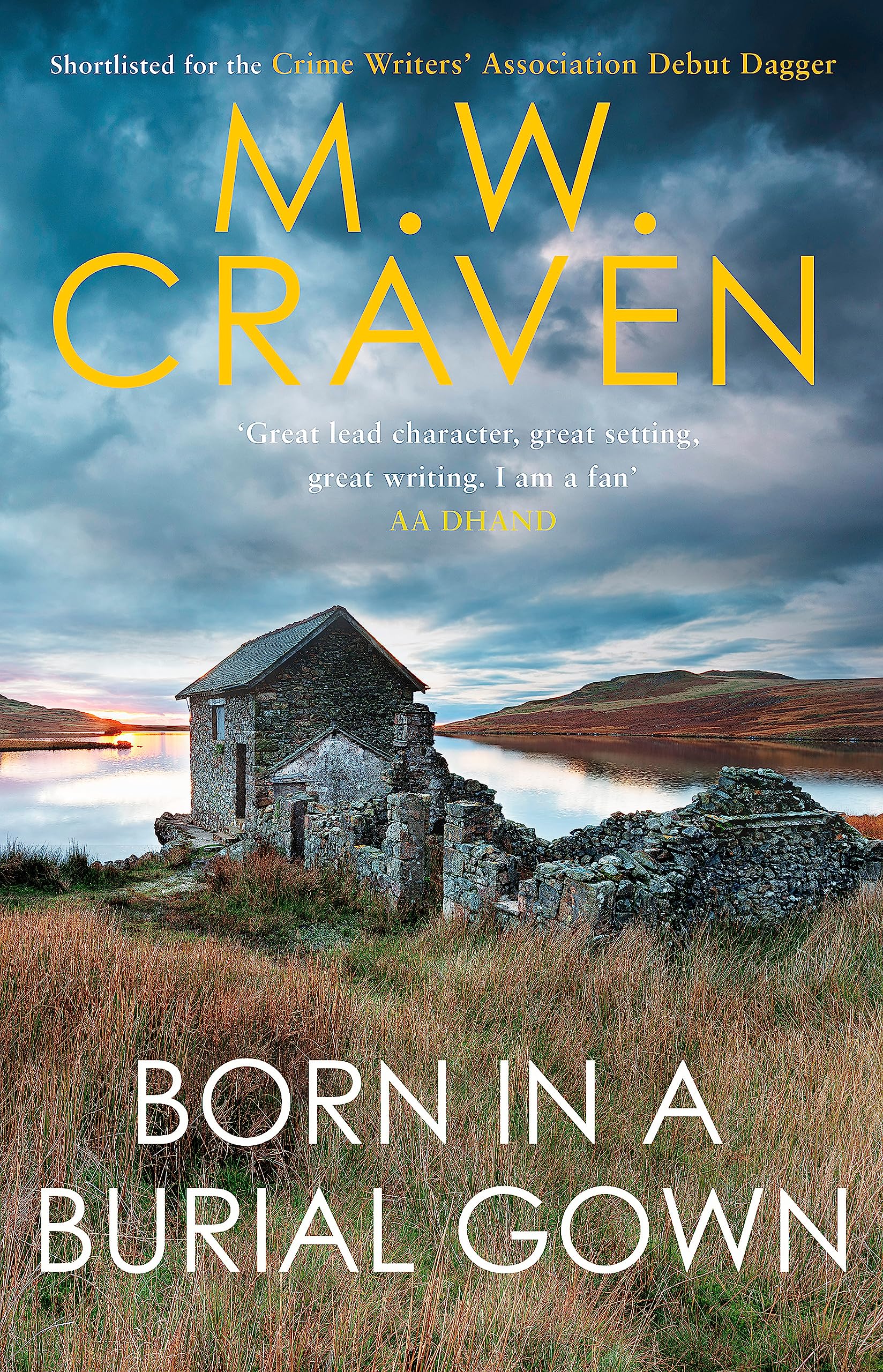 Born in a Burial Gown (Avison Fluke) Contemporary literature