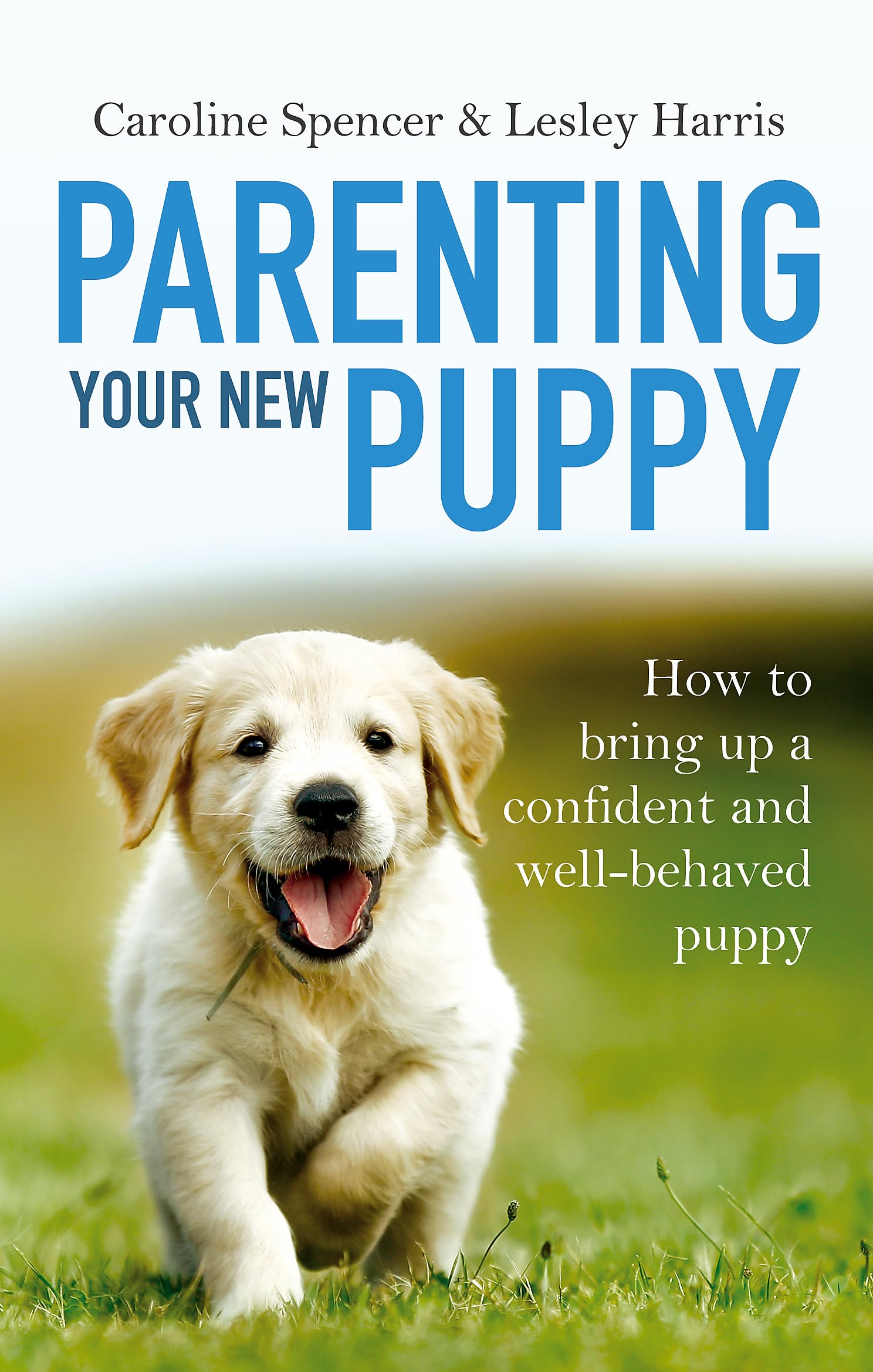 Parenting Your New Puppy: How to use positive parenting to bring up a confident and well-behaved puppy Pets