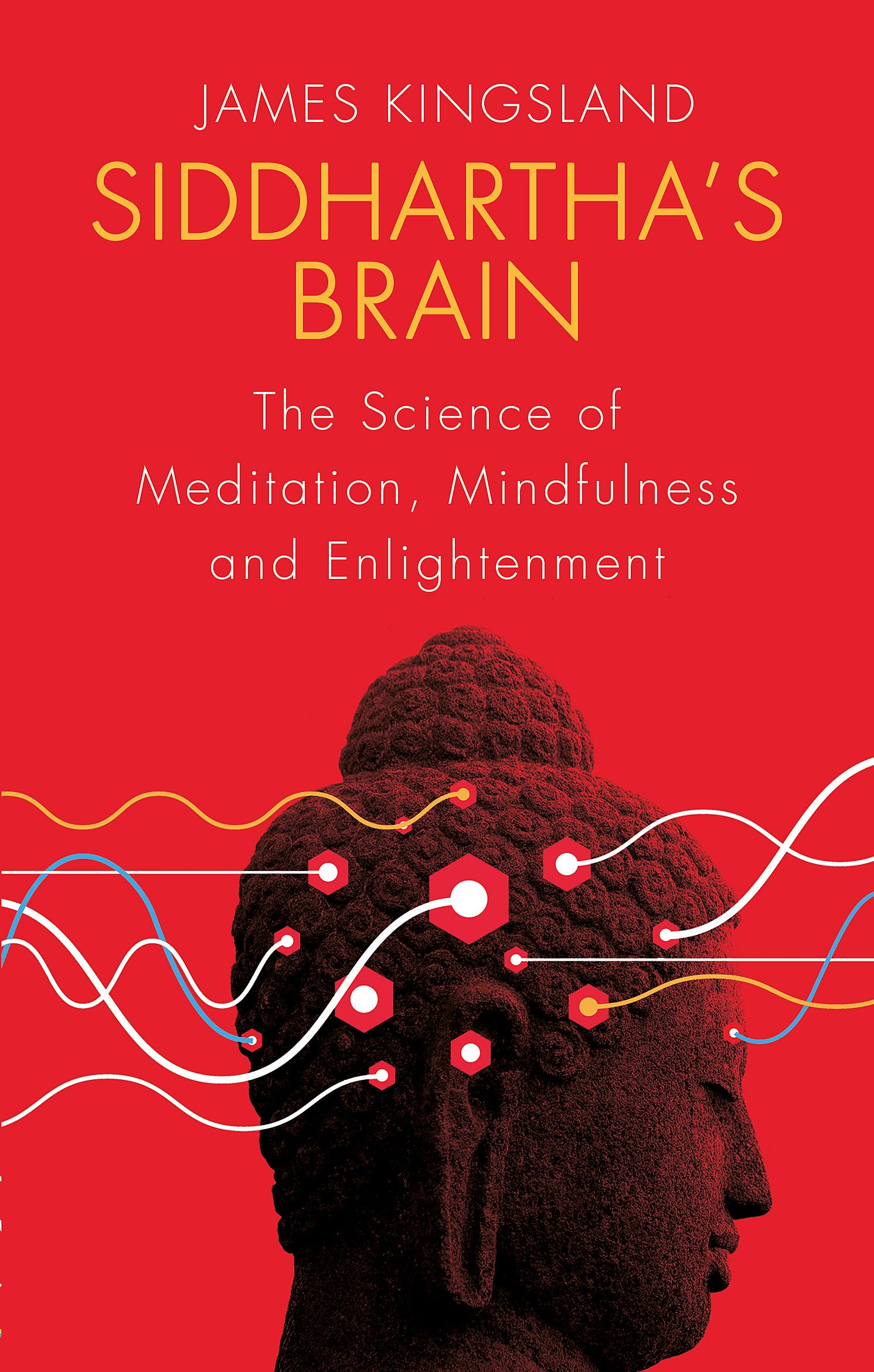Siddhartha's Brain Philosophy Books