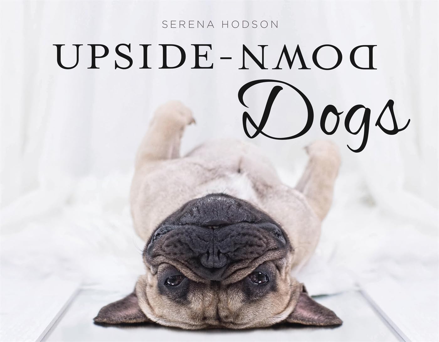 Upside-Down Dogs Contemporary literature Books