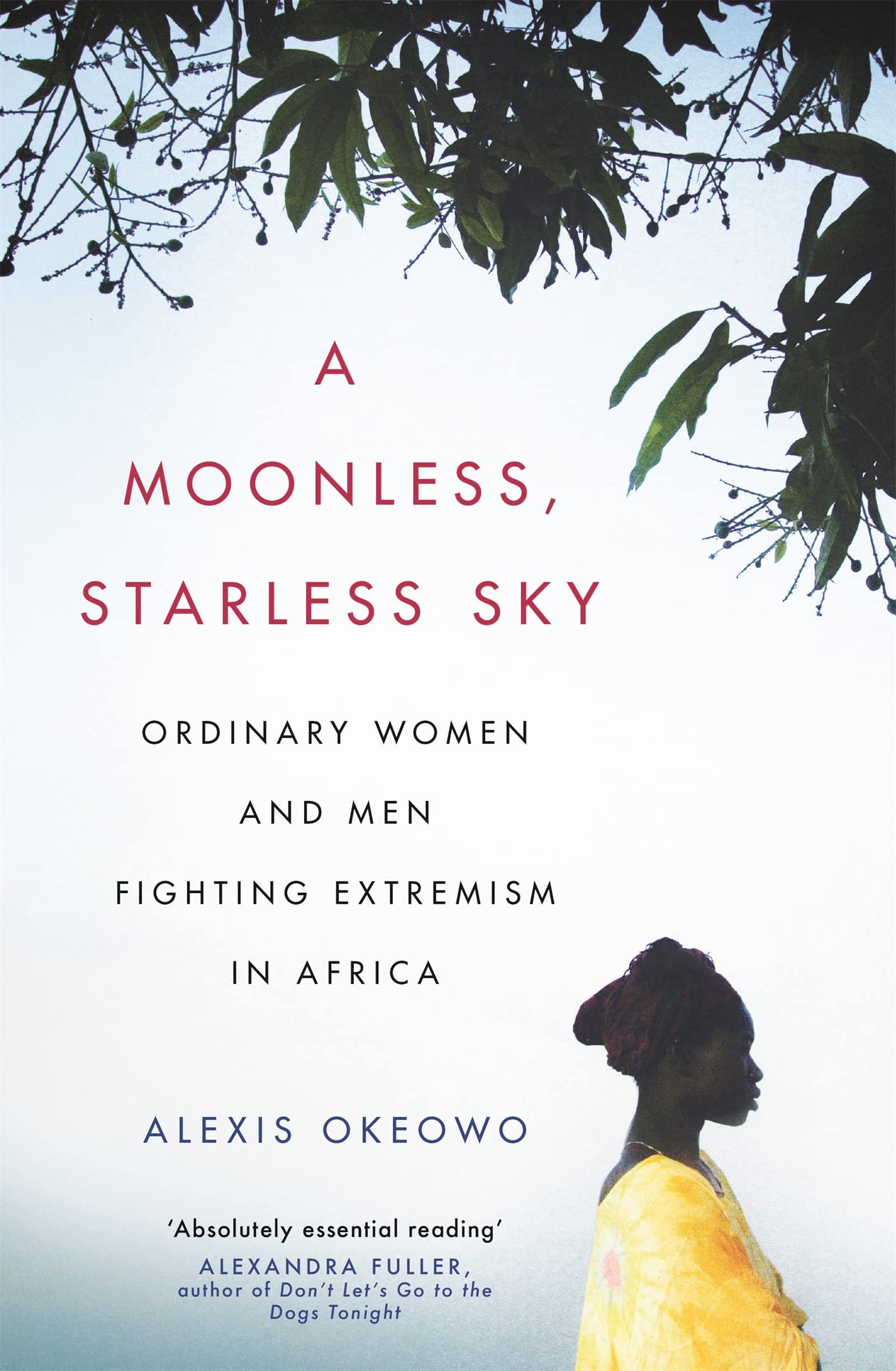 A Moonless, Starless Sky: Ordinary Women and Men Fighting Extremism in Africa Media & Communication