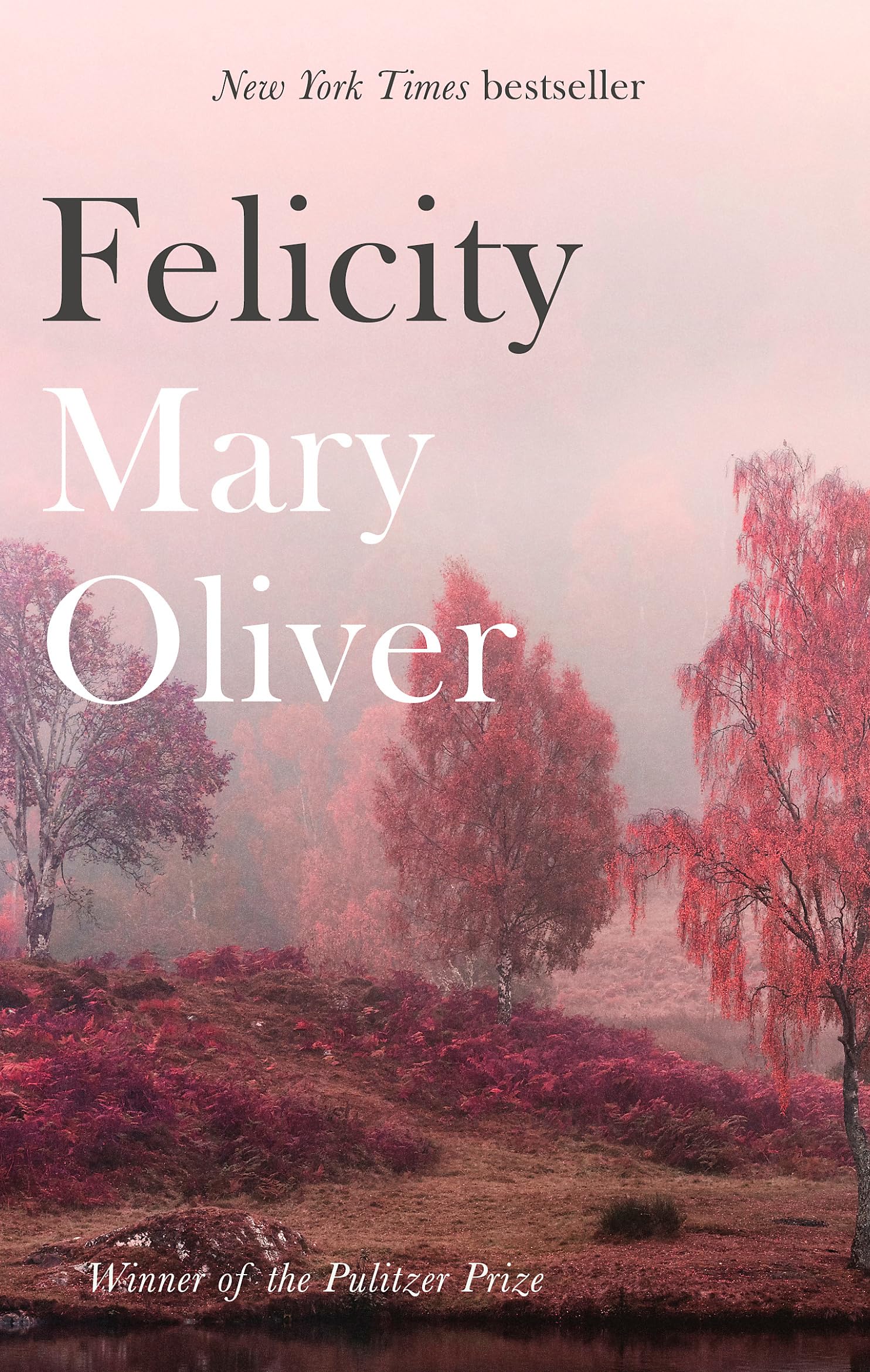 Felicity Poetry
