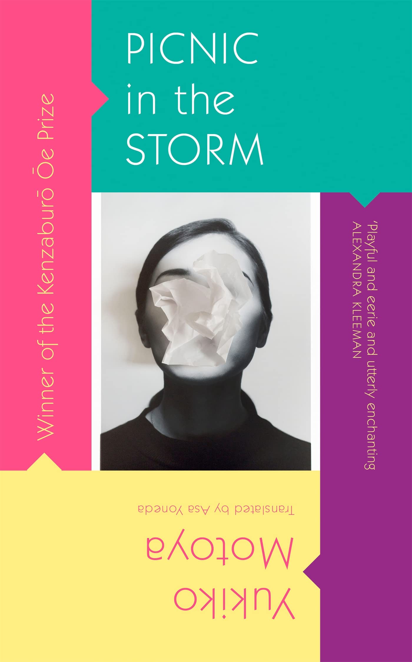 Picnic in the Storm book