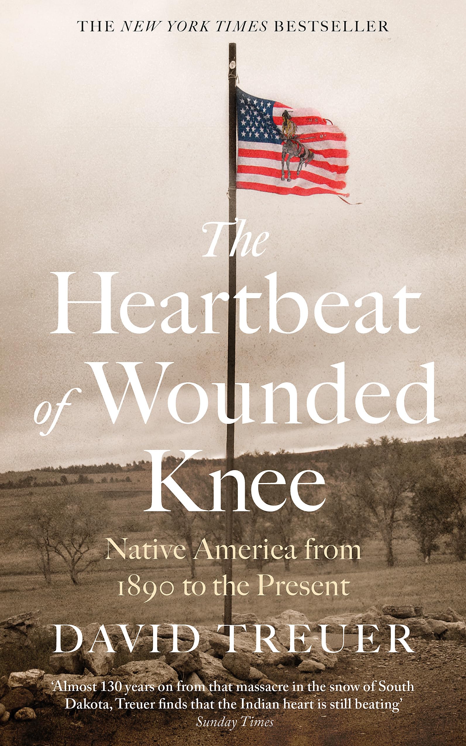 The Heartbeat of Wounded Knee Books