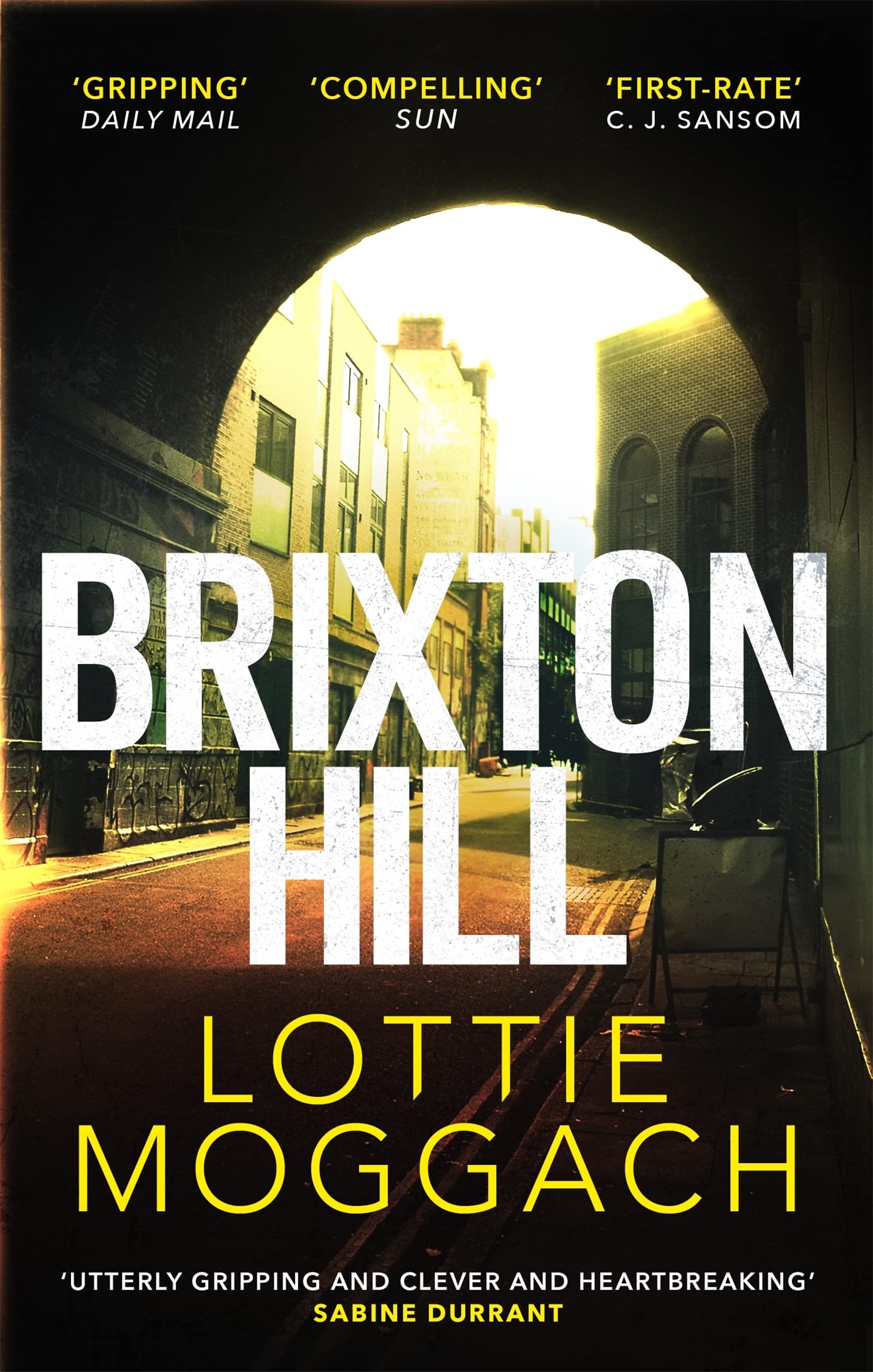 Brixton Hill Contemporary literature Books