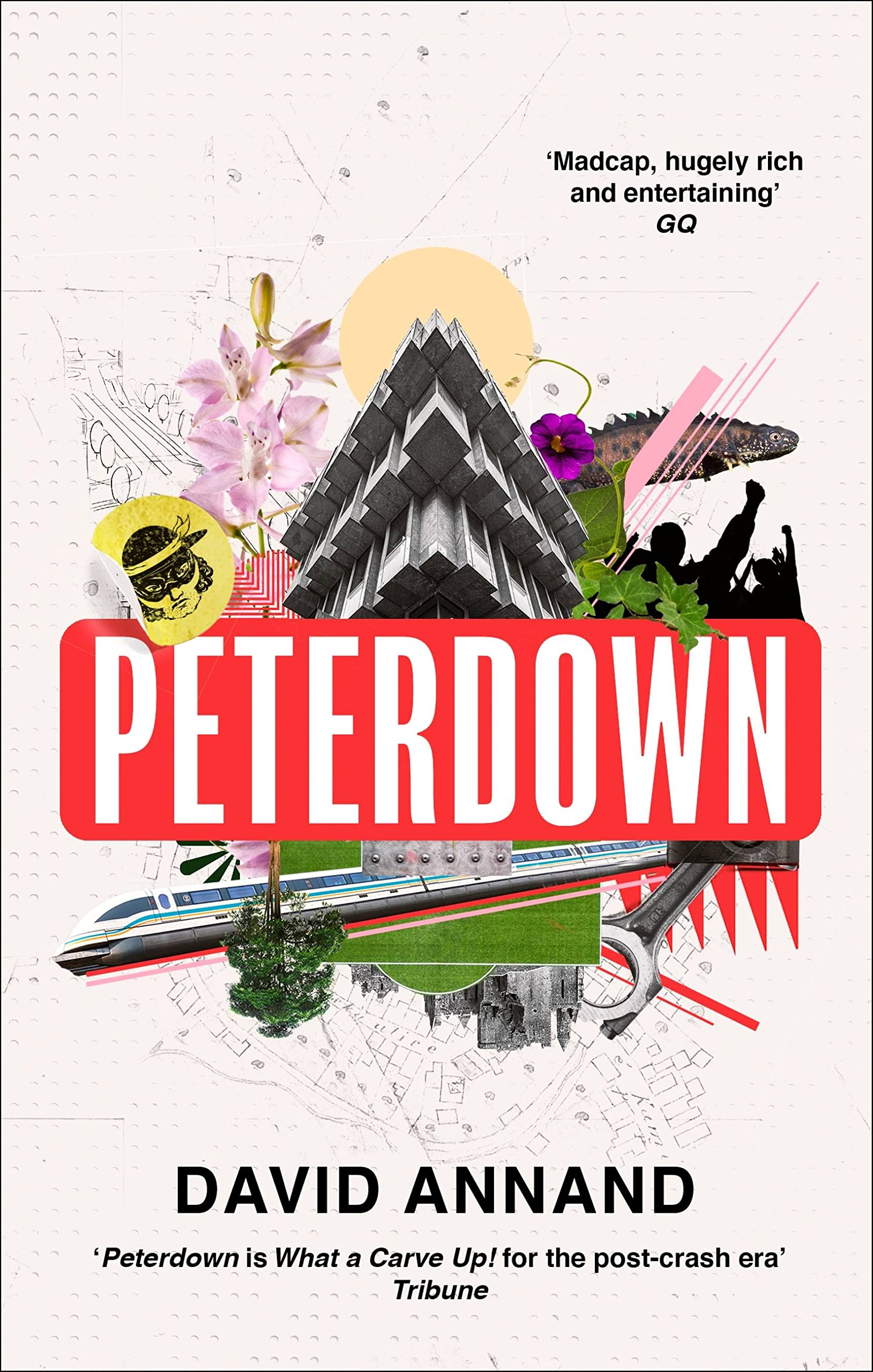 Peterdown Contemporary literature Books