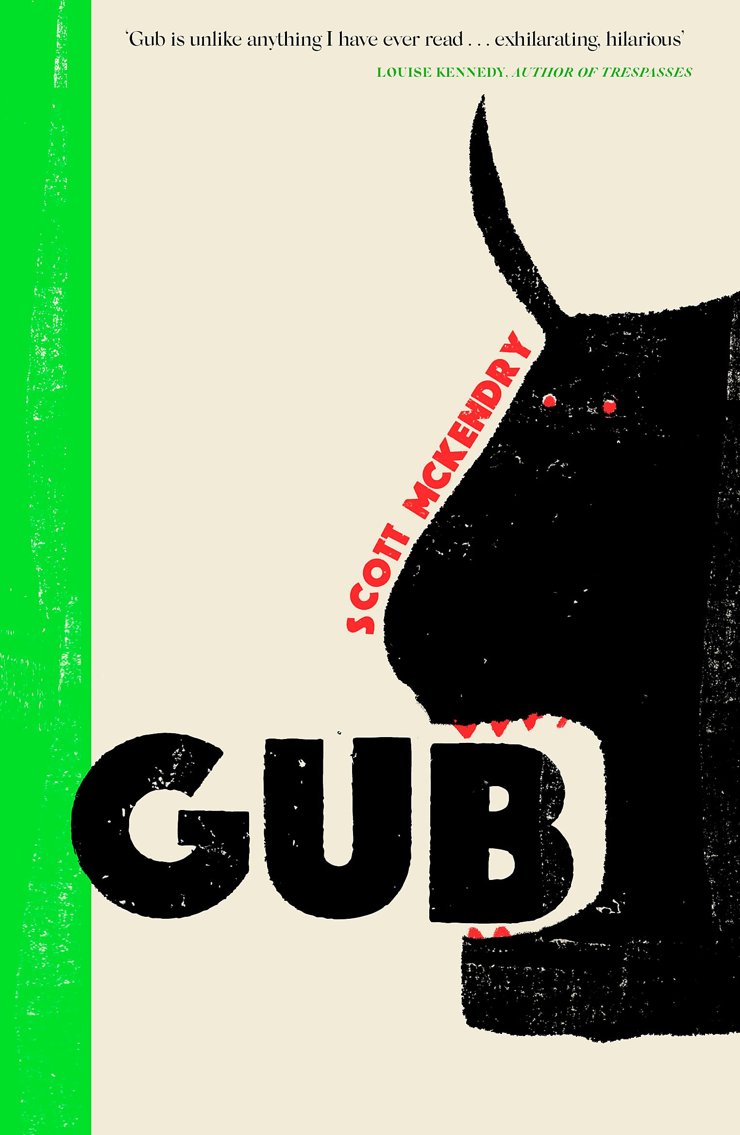 Gub: A Sunday Times Book of the Year 2024 Poetry
