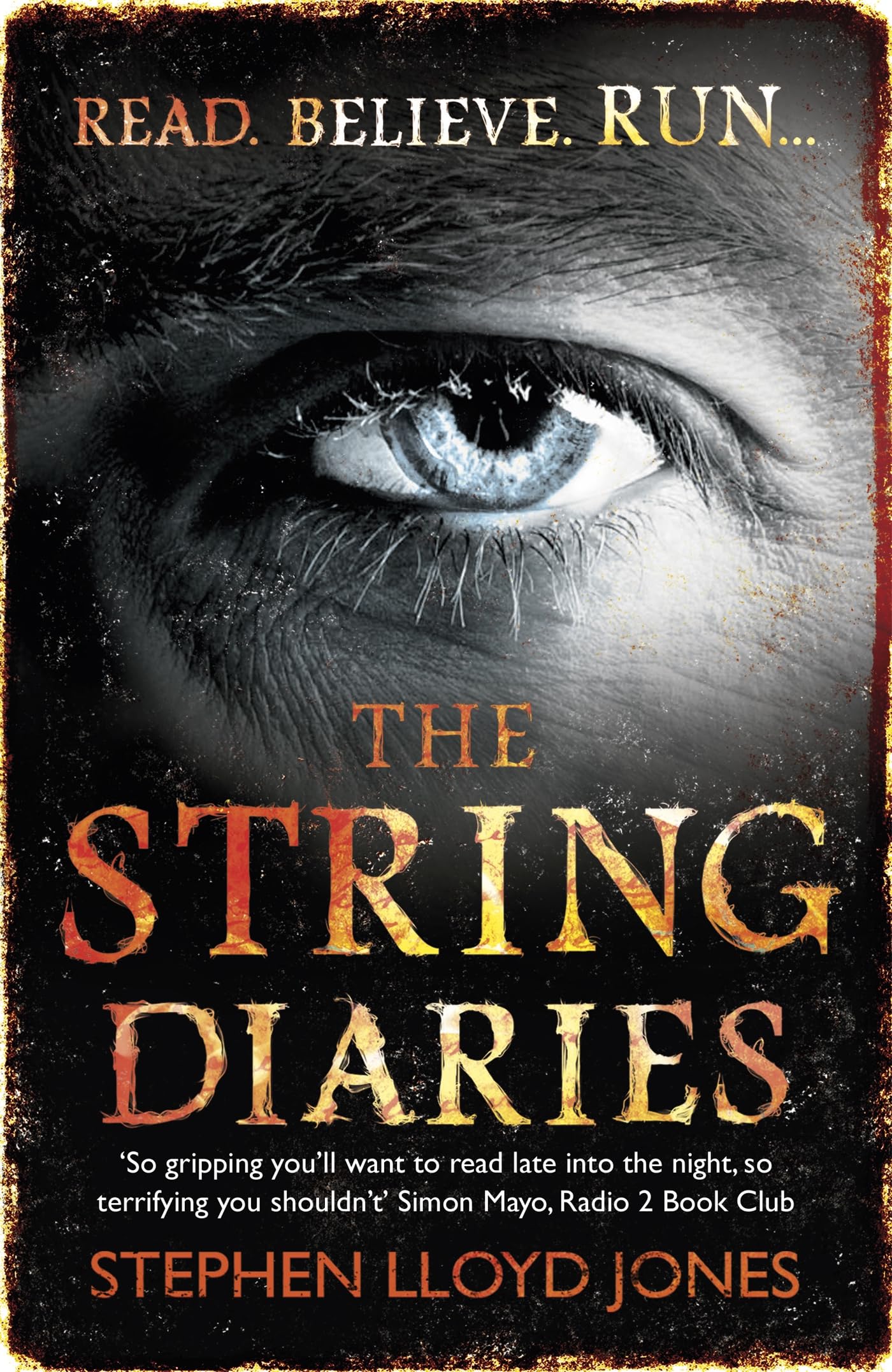 The String Diaries Contemporary literature Books