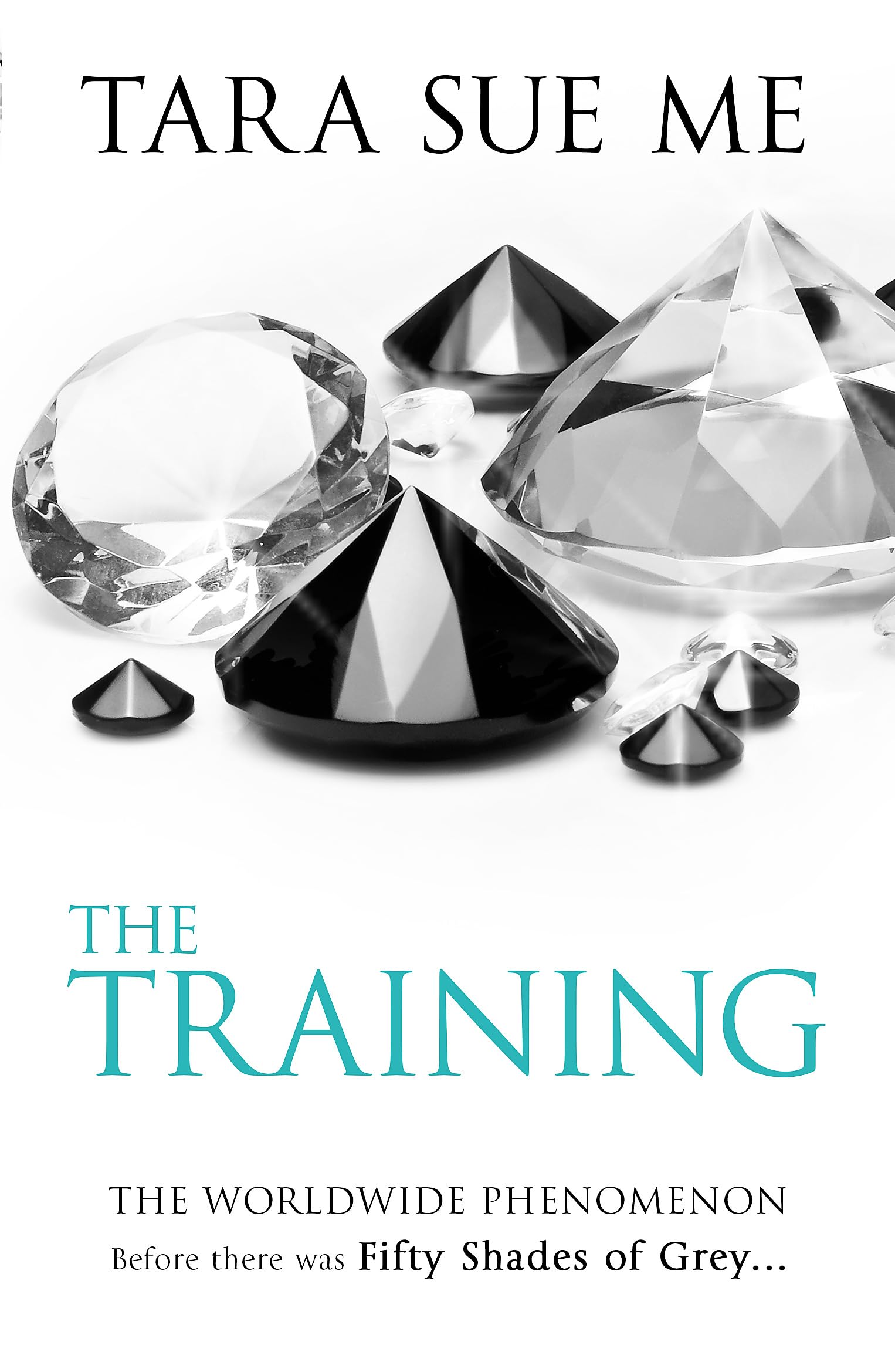 The Training: Submissive 3 Contemporary literature Books