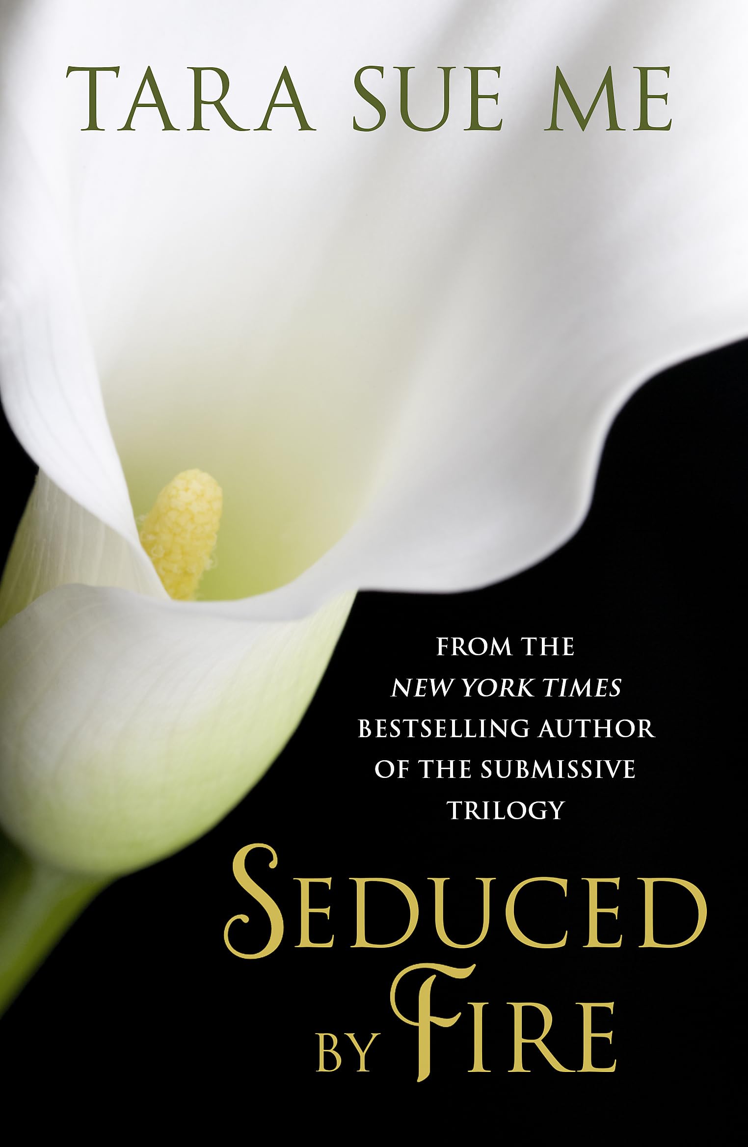 Seduced By Fire: A Partners In Play Novel Contemporary literature