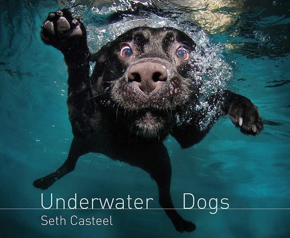 Underwater Dogs Travel Books