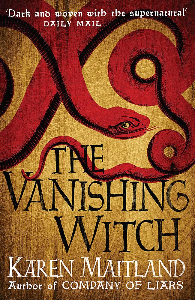 The Vanishing Witch: A dark historical tale of witchcraft and rebellion book