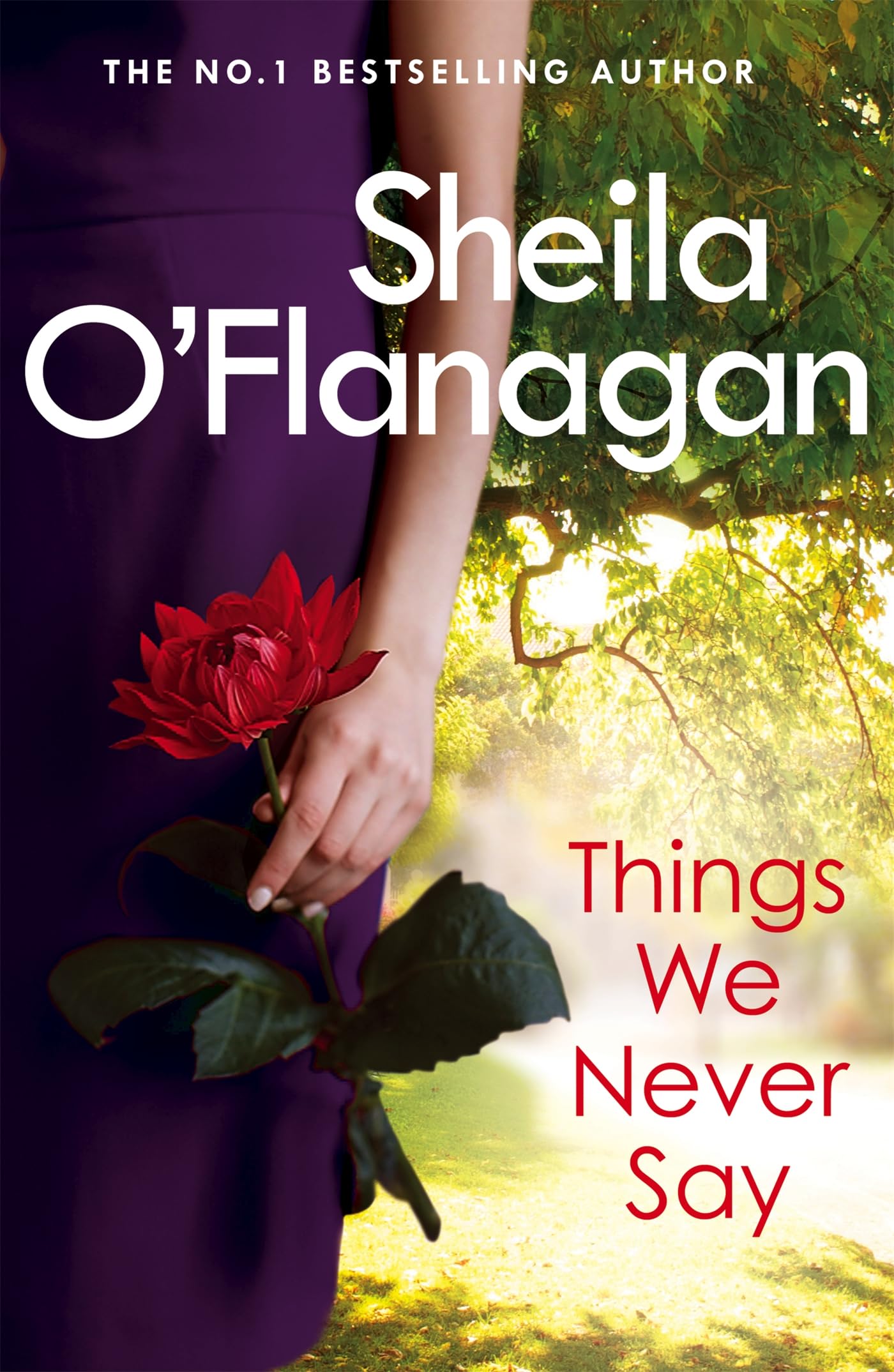 Things We Never Say Contemporary literature Books