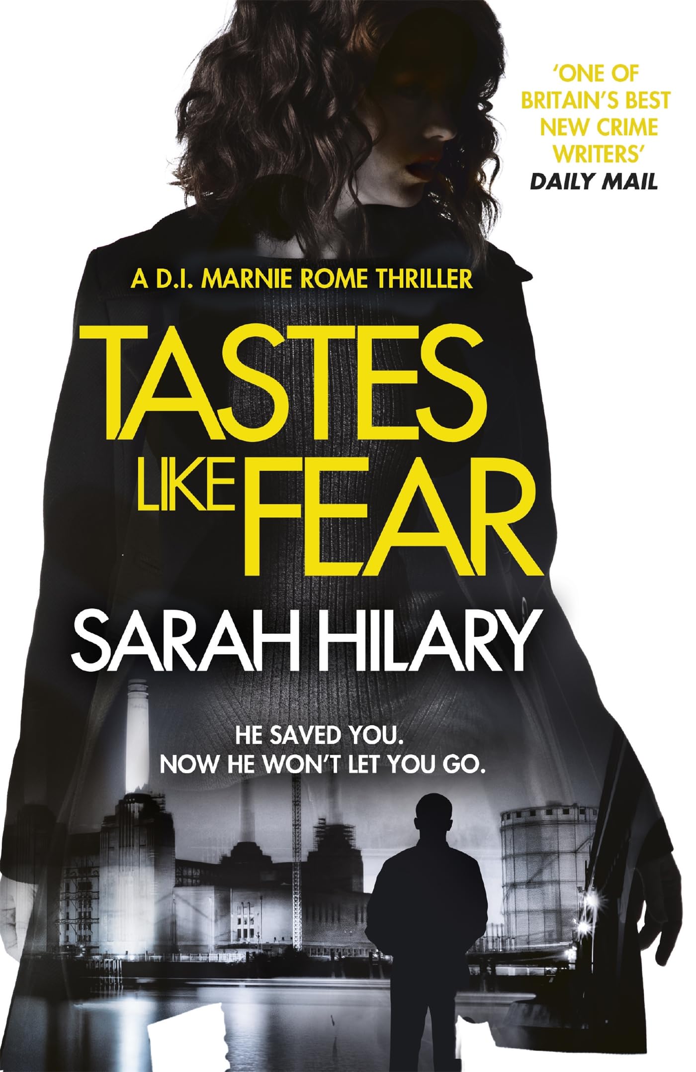 Tastes Like Fear (D.I. Marnie Rome 3) Contemporary literature
