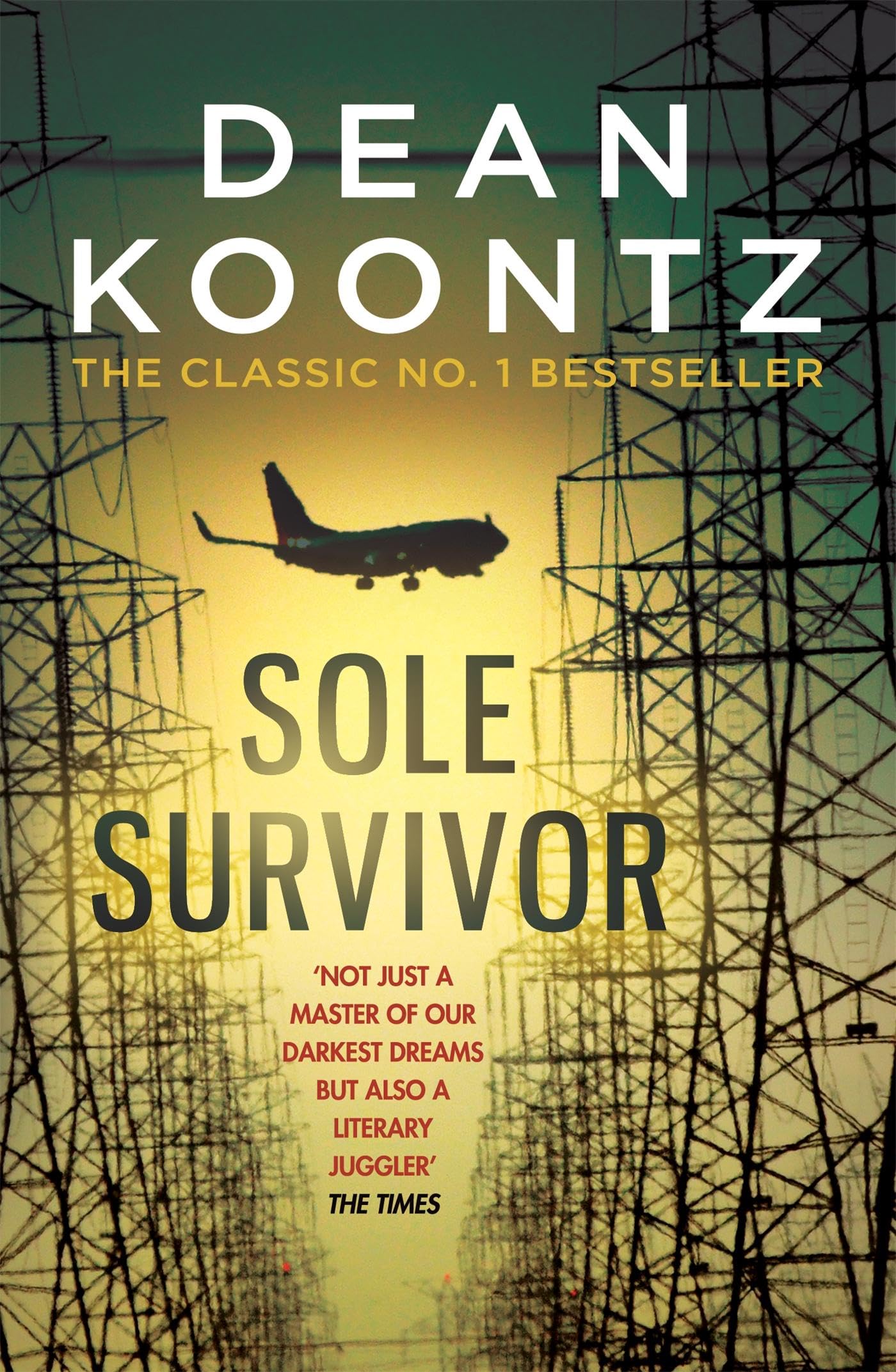 Sole Survivor: A gripping, heart-pounding thriller from the number one bestselling author Contemporary literature