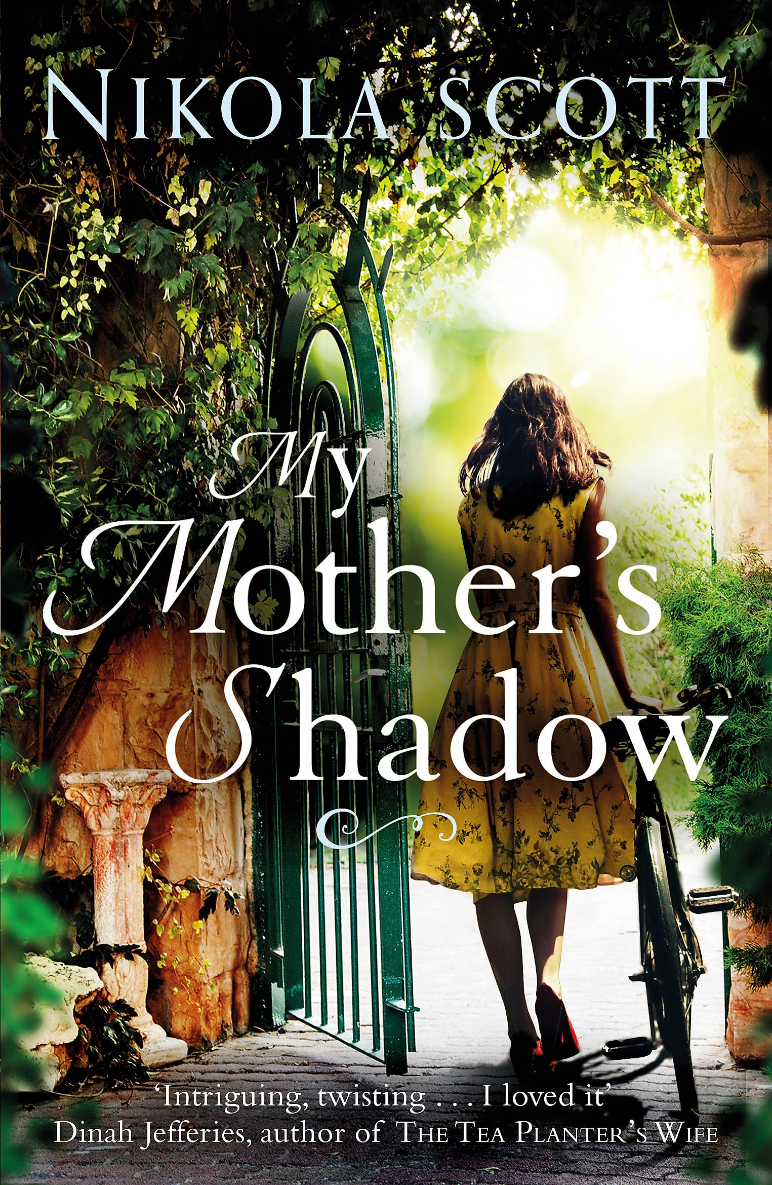 My Mother's Shadow: The gripping novel about a mother's shocking secret Contemporary literature