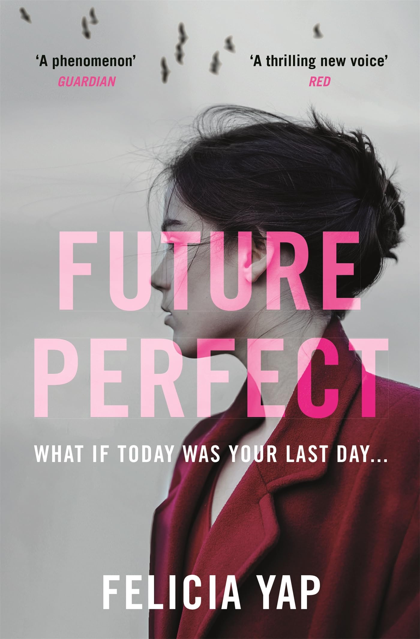 Future Perfect: The Most Exciting High-Concept Novel of the Year Contemporary literature