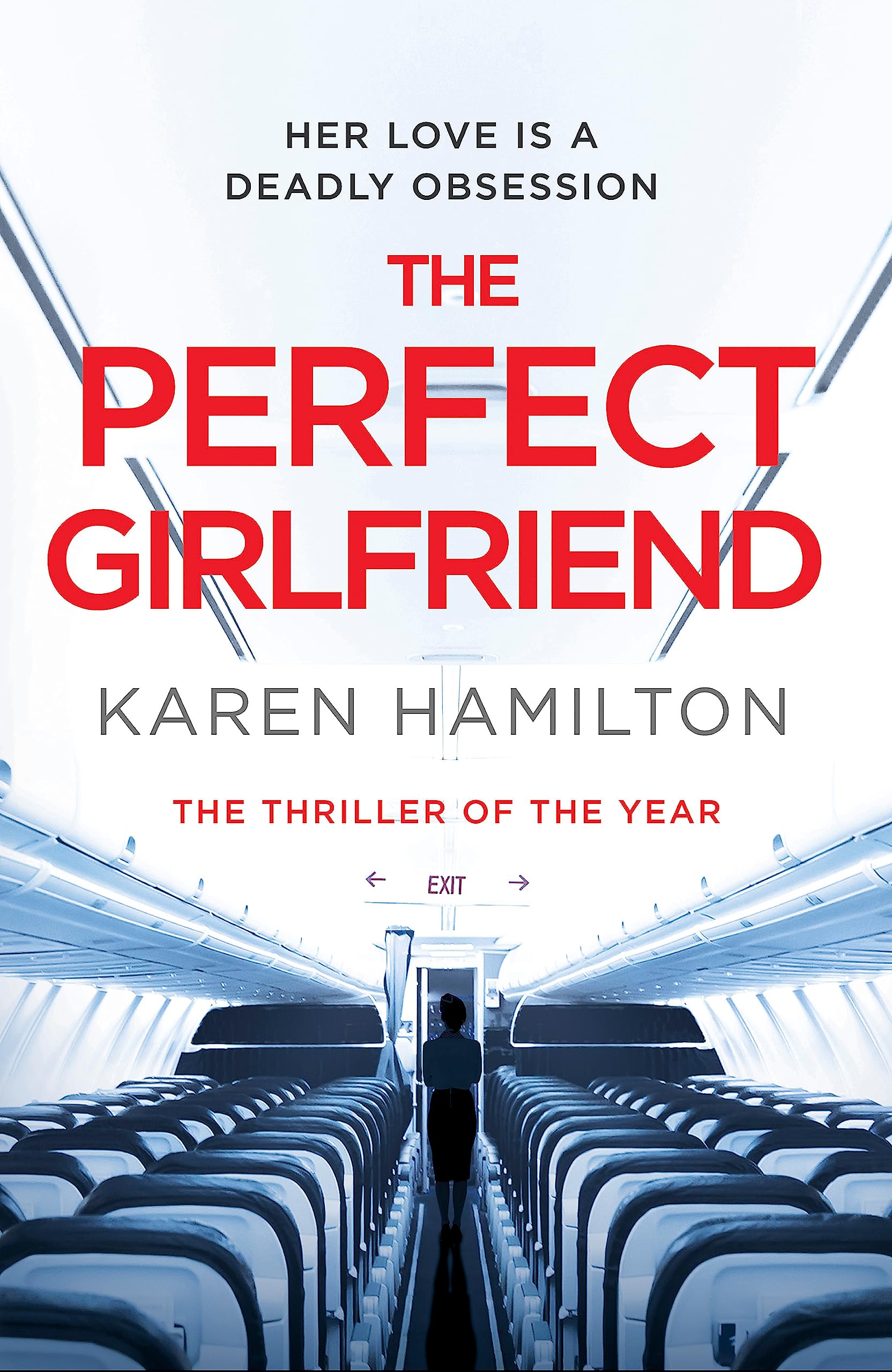 Product Image: The Perfect Girlfriend