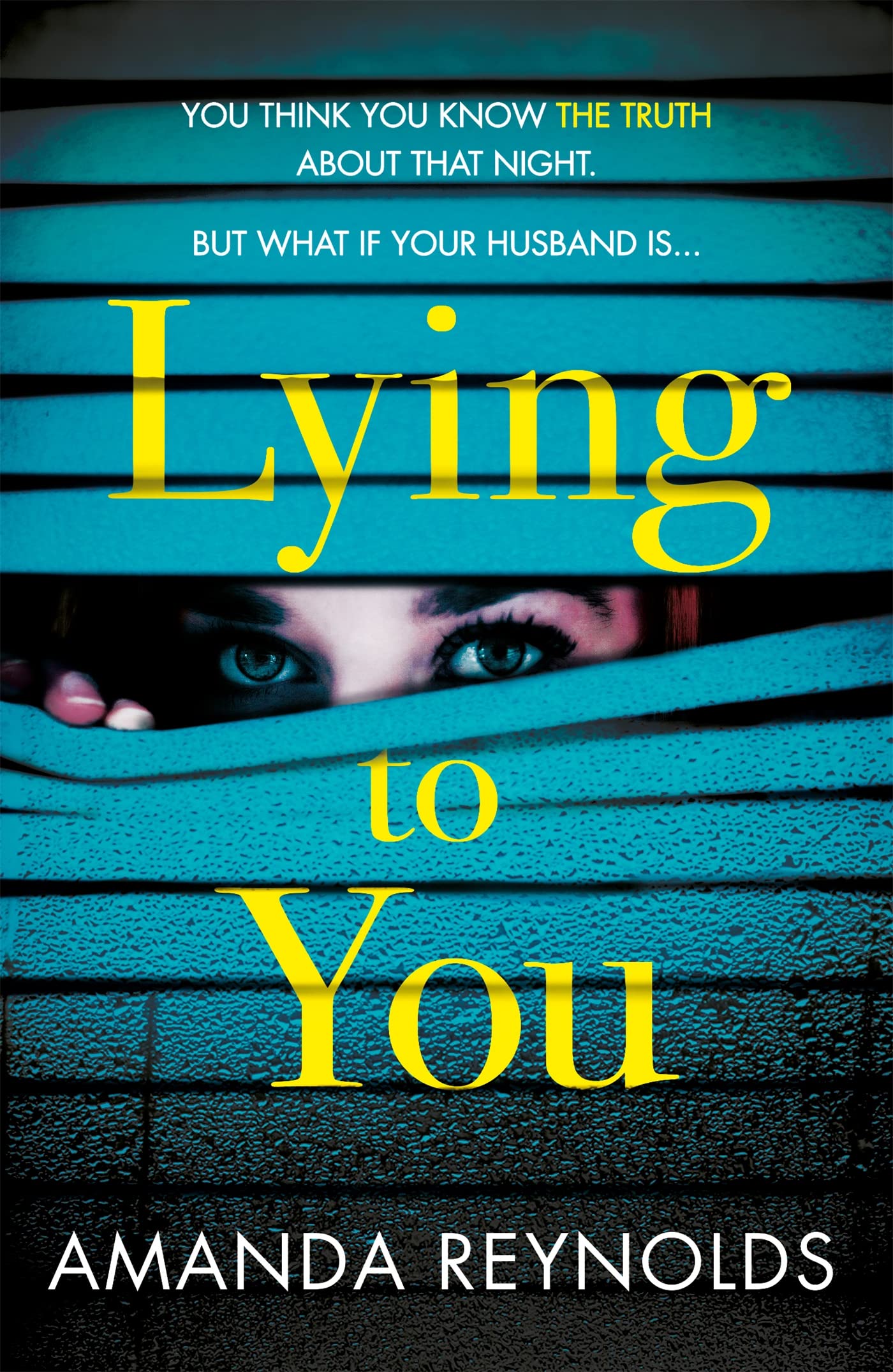 Lying To You: A gripping and tense psychological drama Contemporary literature