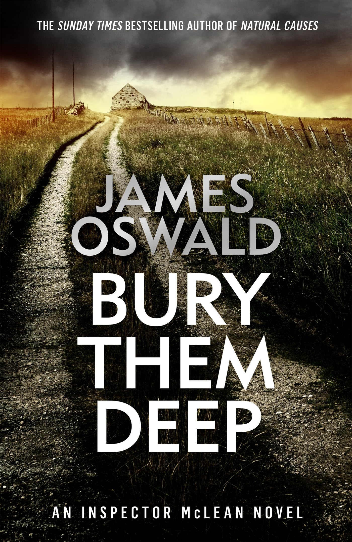Bury Them Deep: Inspector McLean 10 (The Inspector McLean Series) Contemporary literature