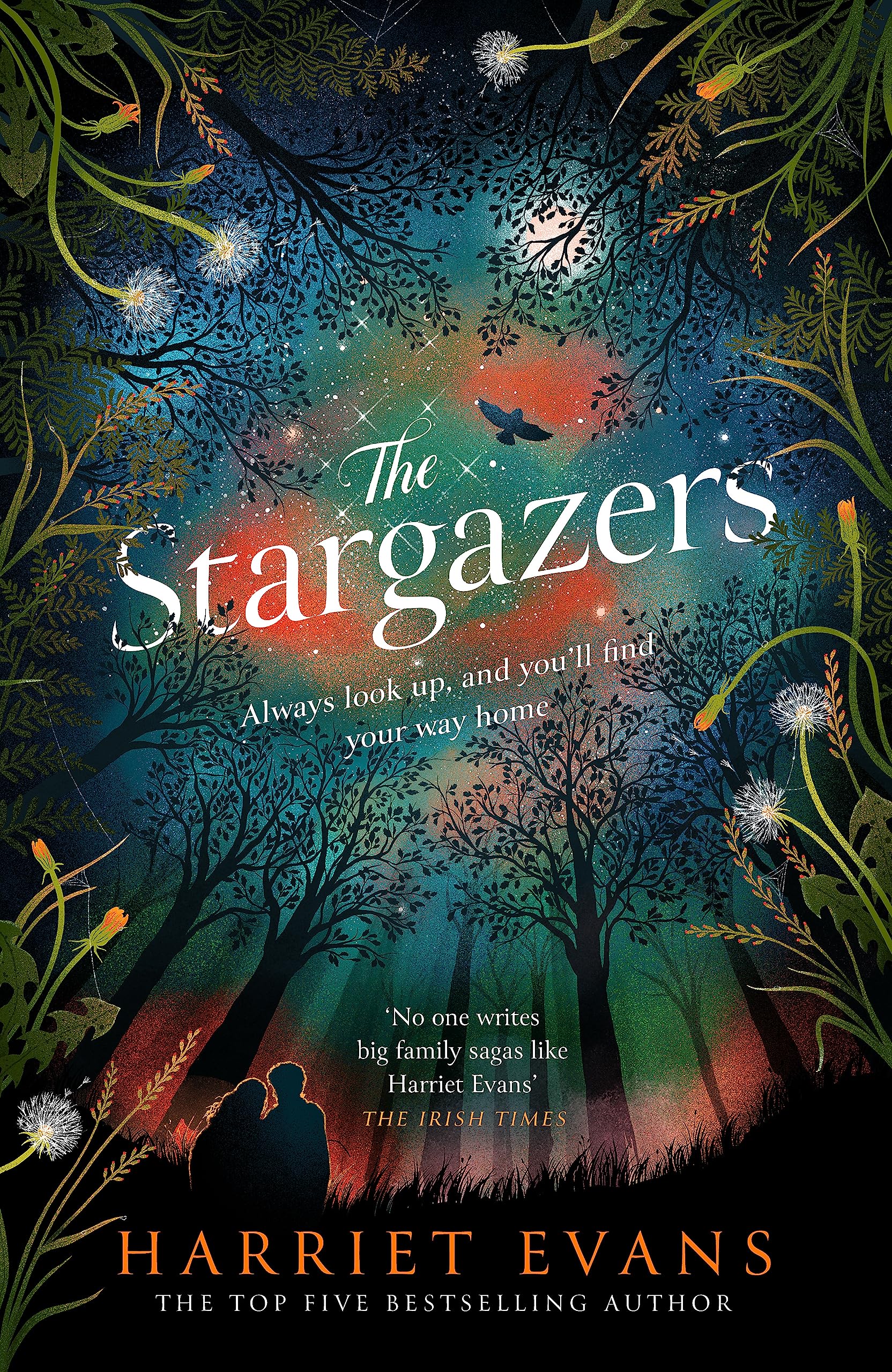 The Stargazers: A captivating, magical love story with a breathtaking twist Books