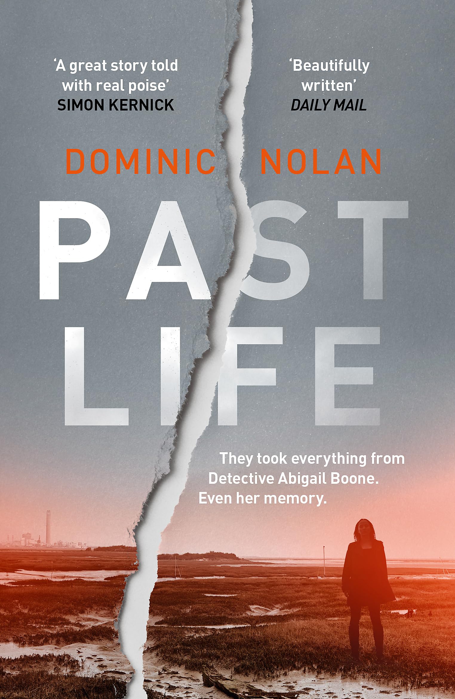 Past Life: an 'astonishing' and 'gripping' crime thriller Contemporary literature