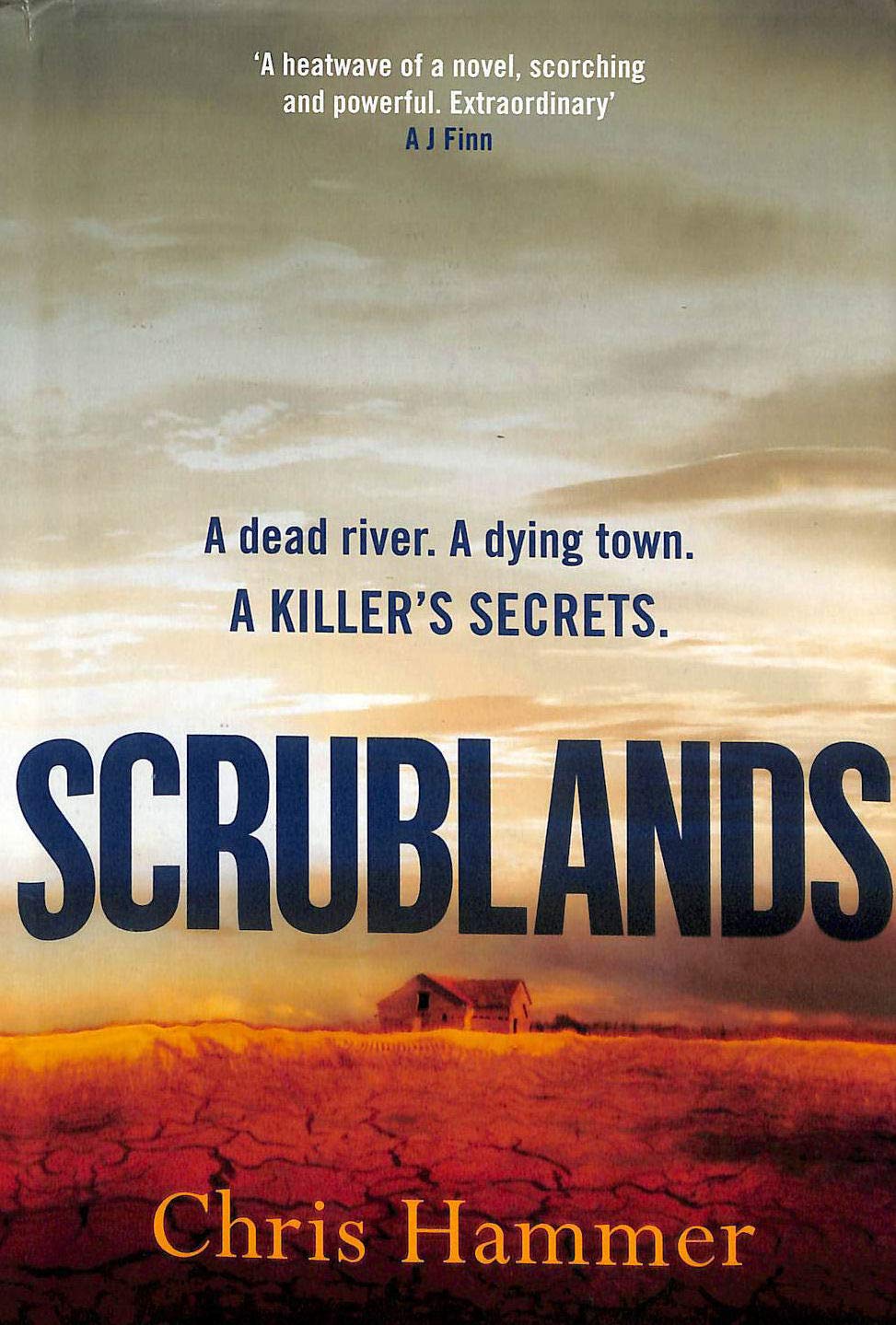 Scrublands: The stunning, Sunday Times Crime Book of the Year 2019 Contemporary literature