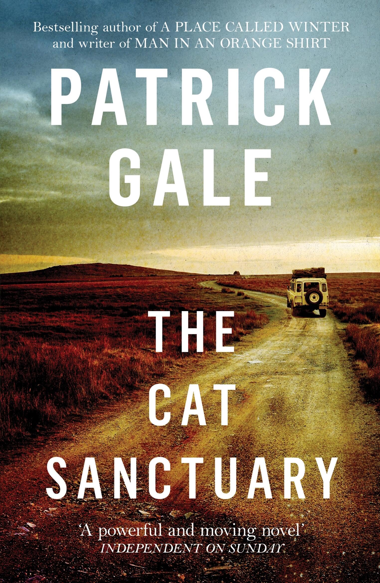 The Cat Sanctuary: An intriguing novel of sisters, childhood and the complexities of family lives book