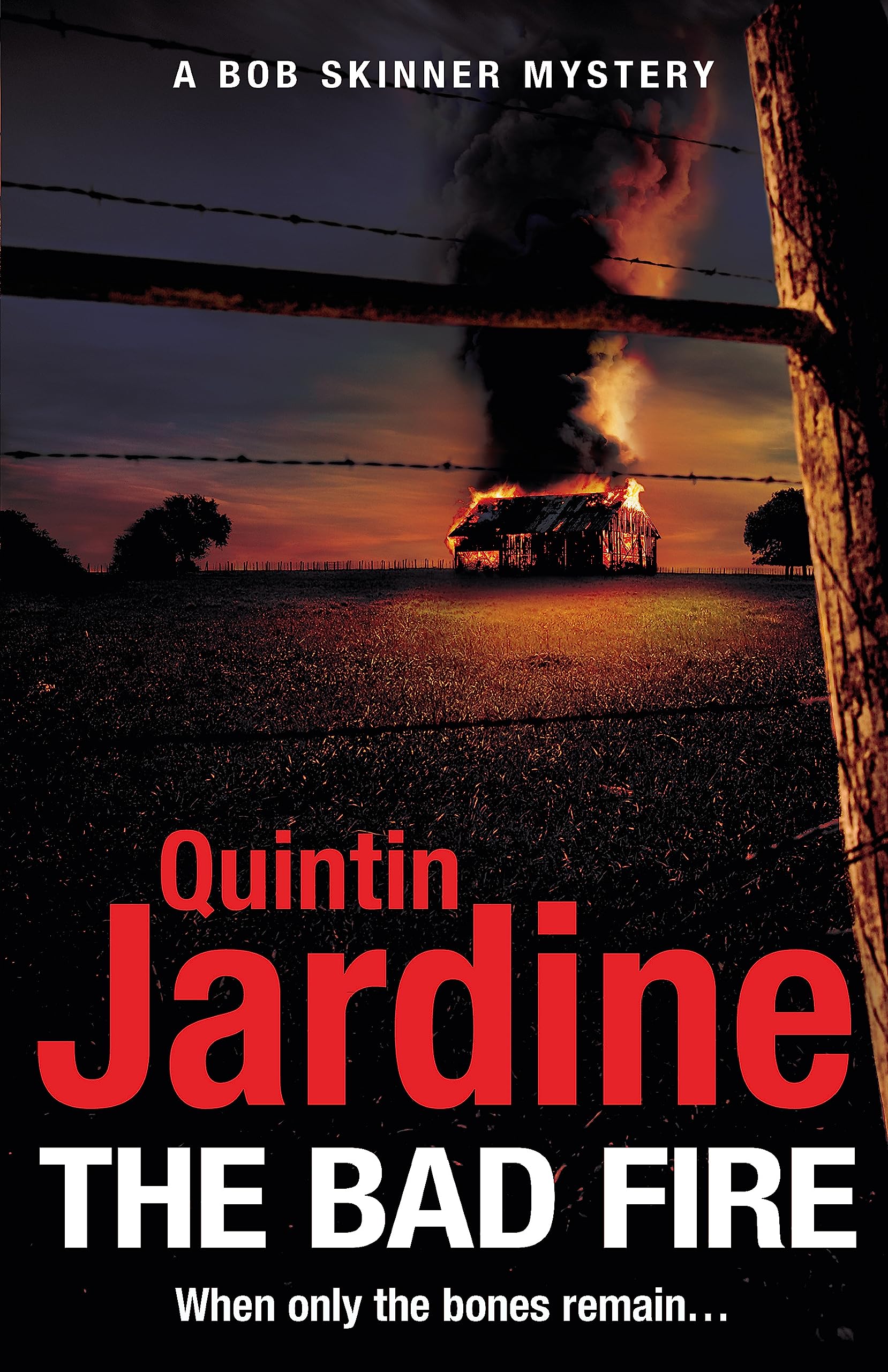 The Bad Fire (Bob Skinner series, Book 31): A shocking murder case brings danger too close to home for ex-cop Bob Skinner in this gripping Scottish crime thriller Contemporary literature