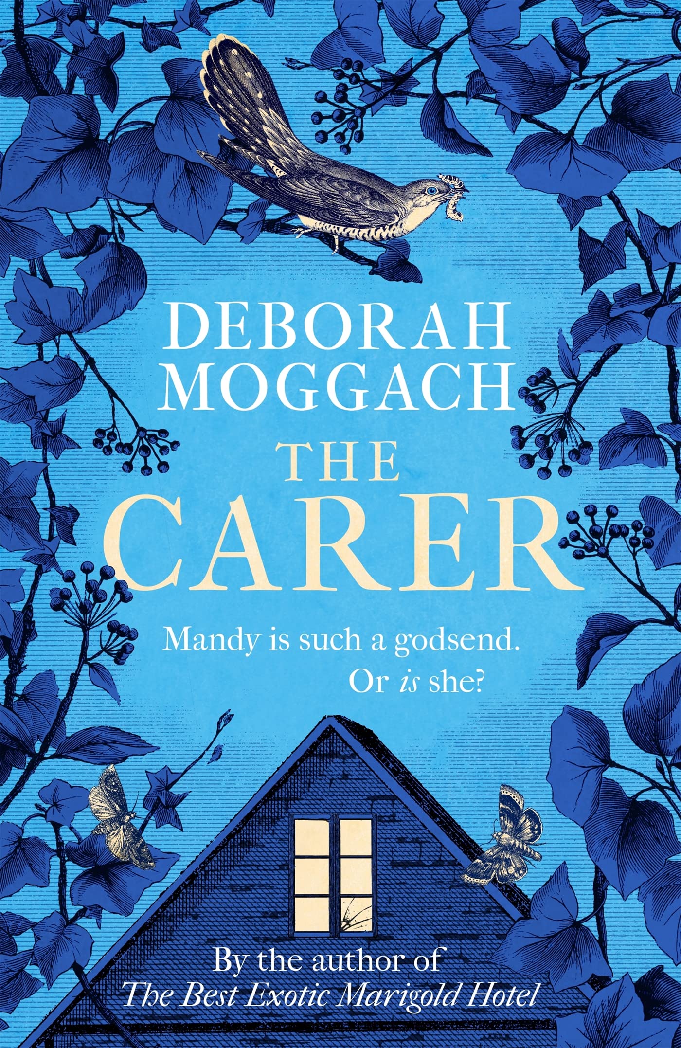 The Carer: 'A cracking, crackling social comedy' The Times Contemporary literature