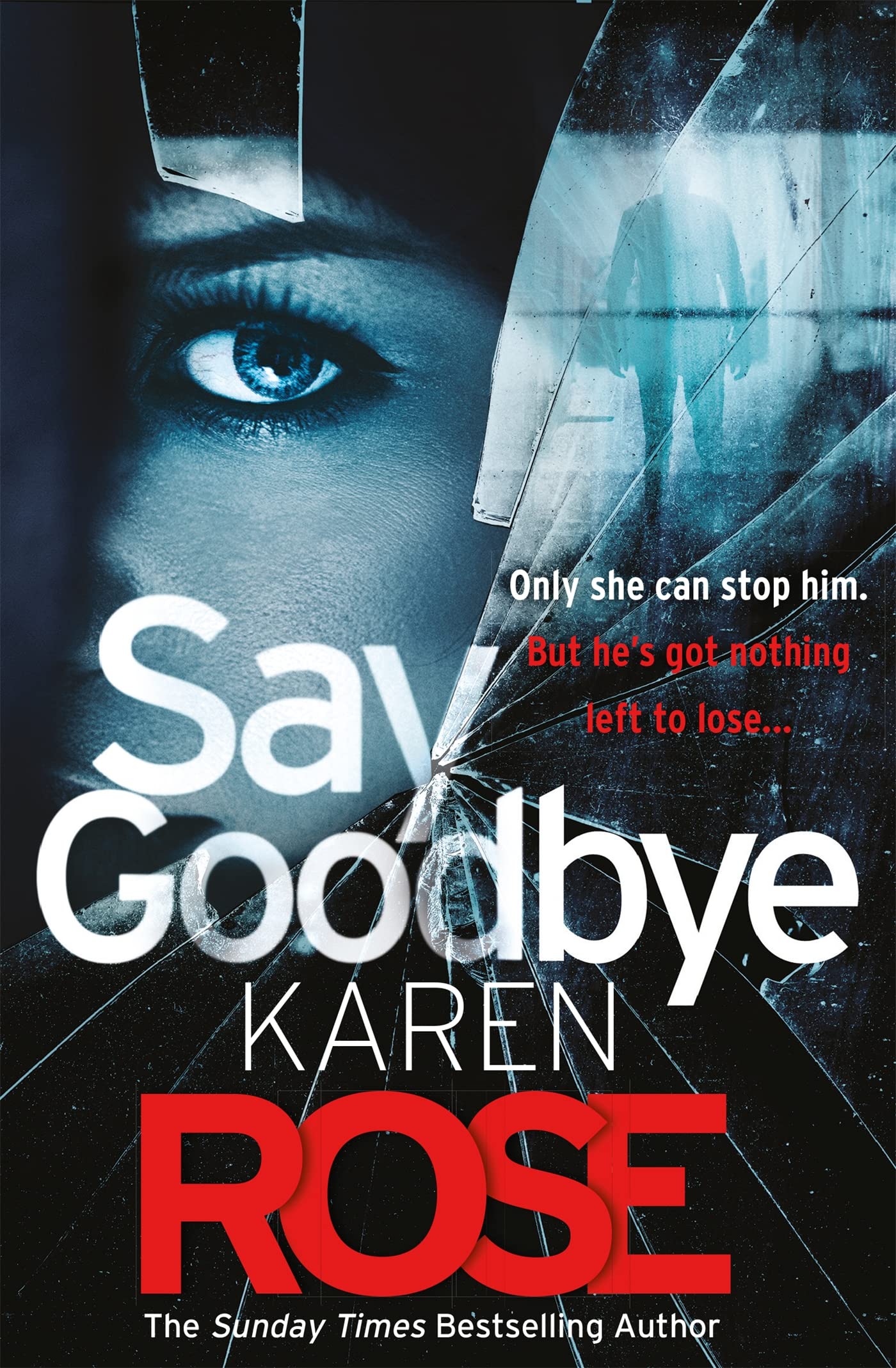 Say Goodbye Contemporary literature Books