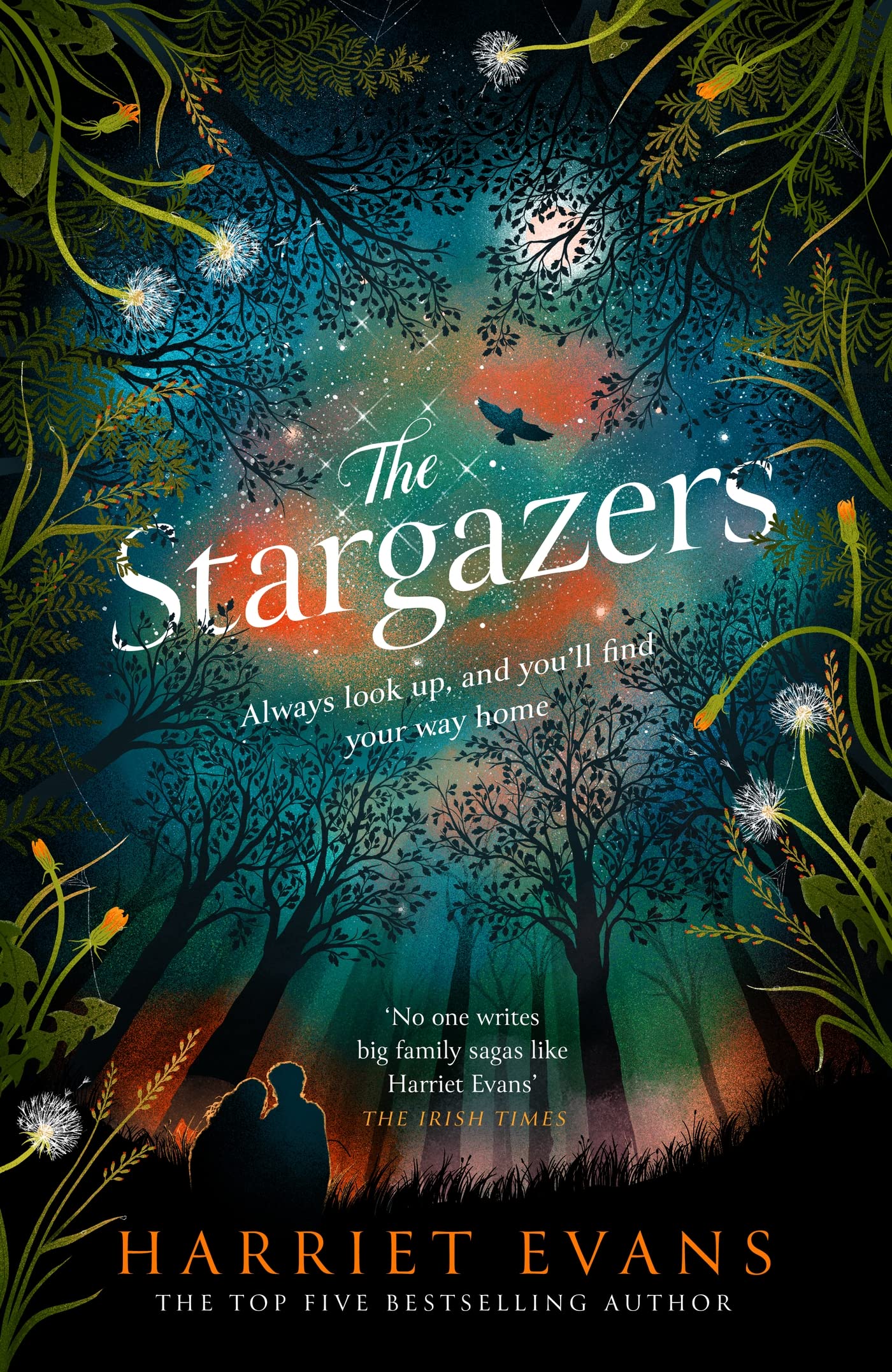 The Stargazers: A captivating, magical love story with a breathtaking twist Contemporary literature