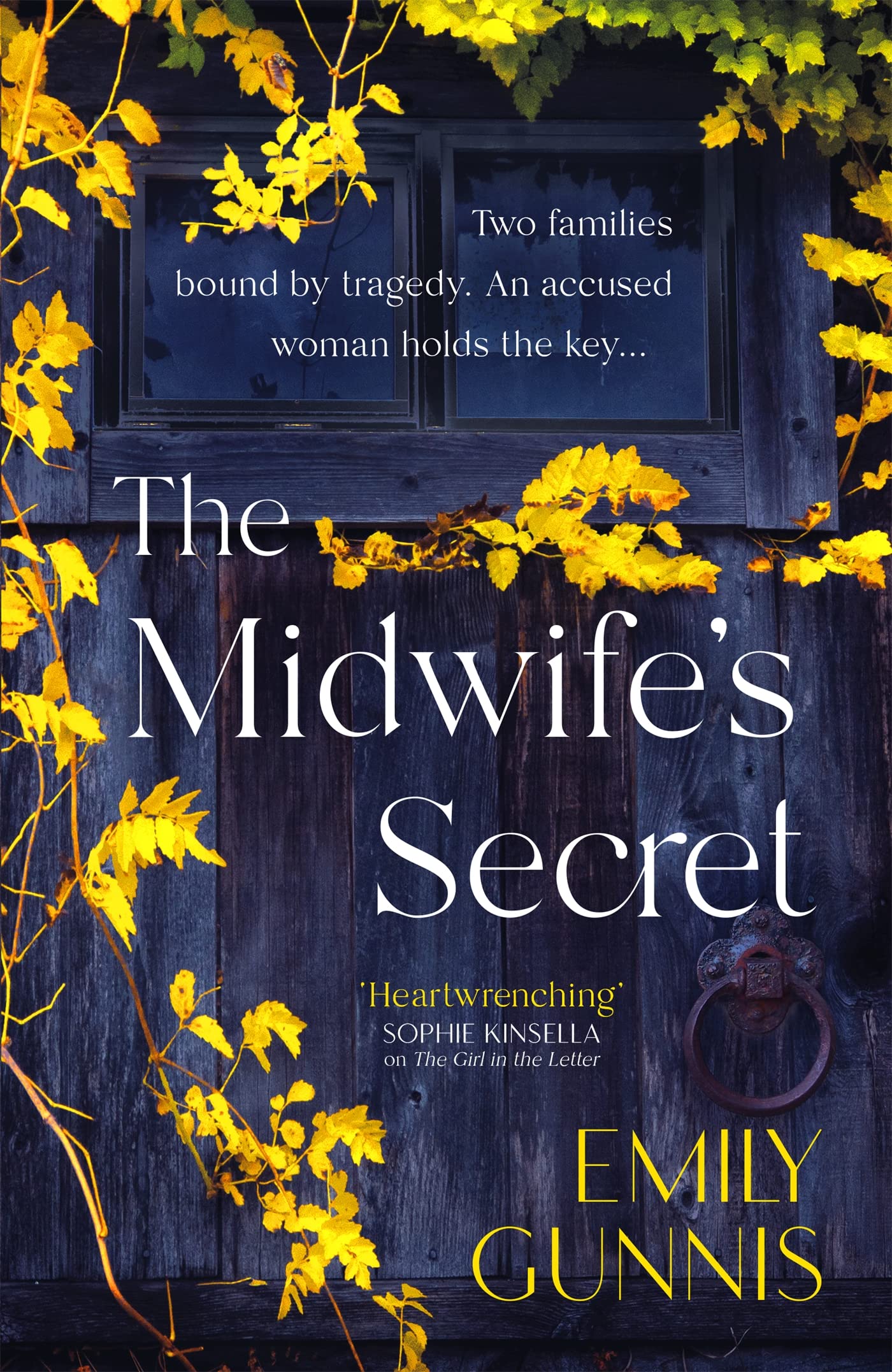 The Midwife's Secret Contemporary literature