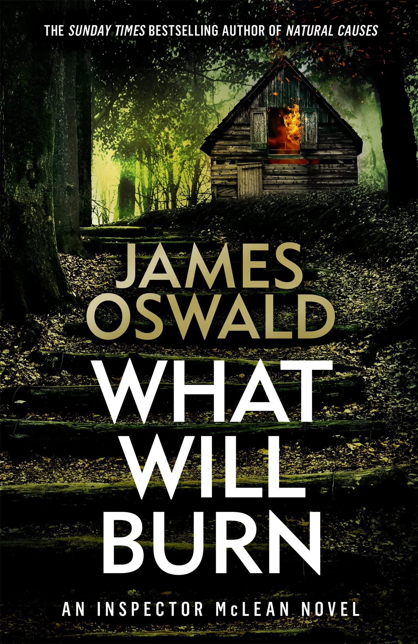 What Will Burn Contemporary literature