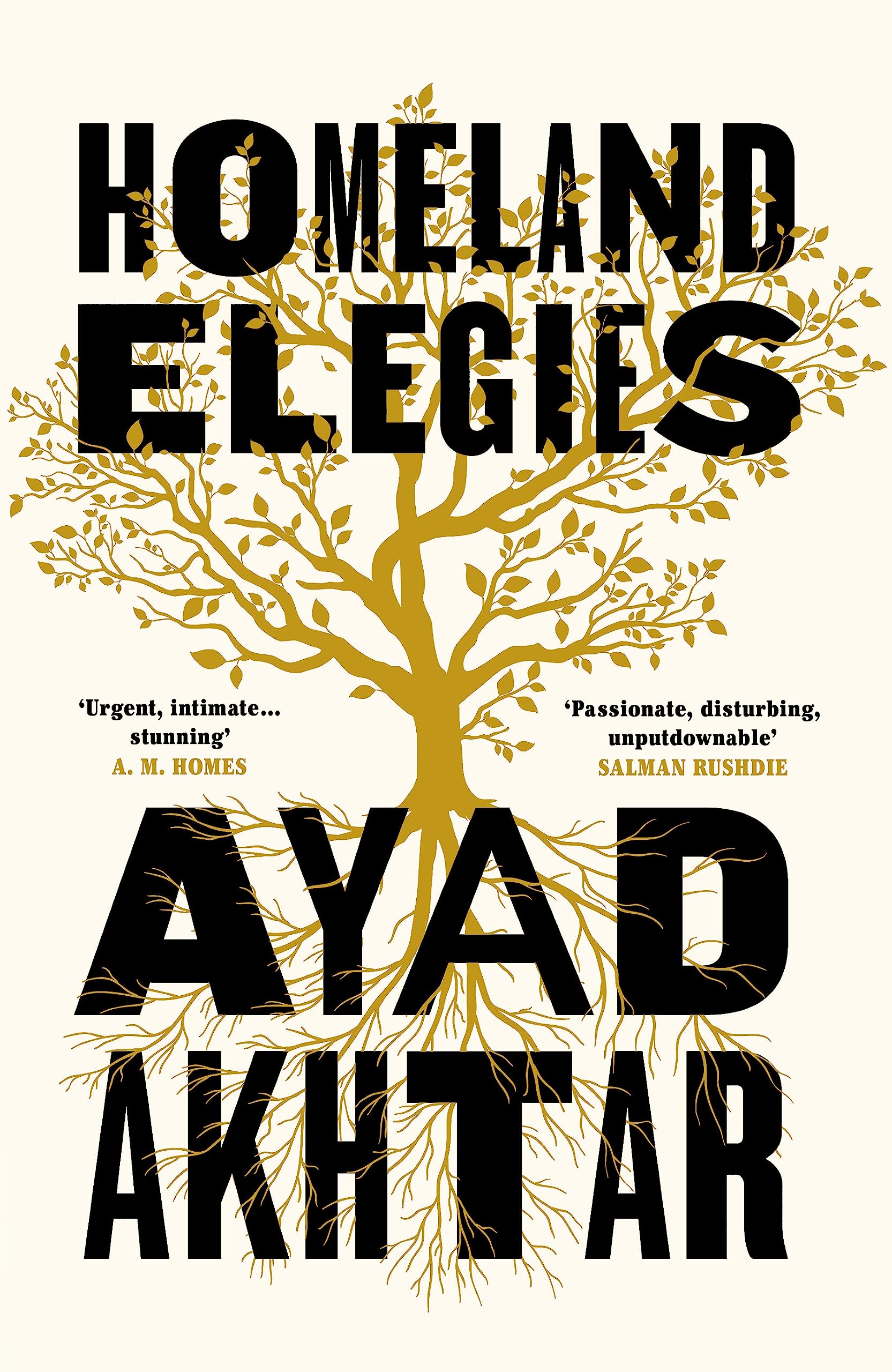 Product Image: Homeland Elegies