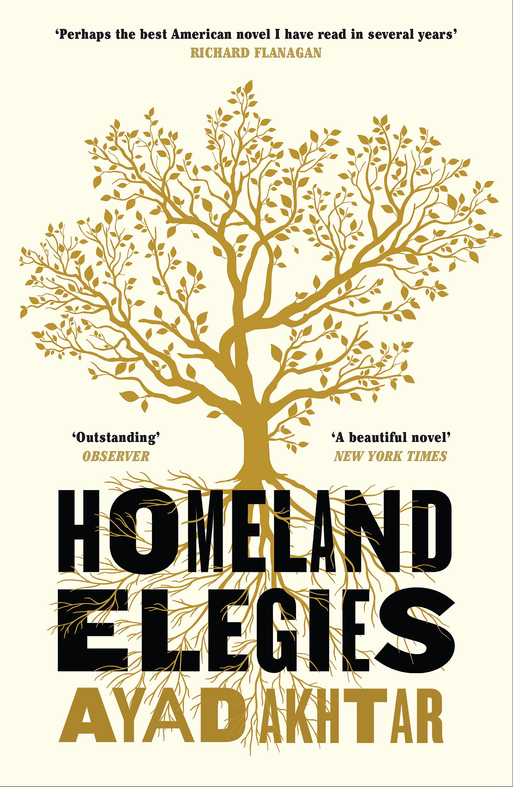 Homeland Elegies Contemporary literature Books