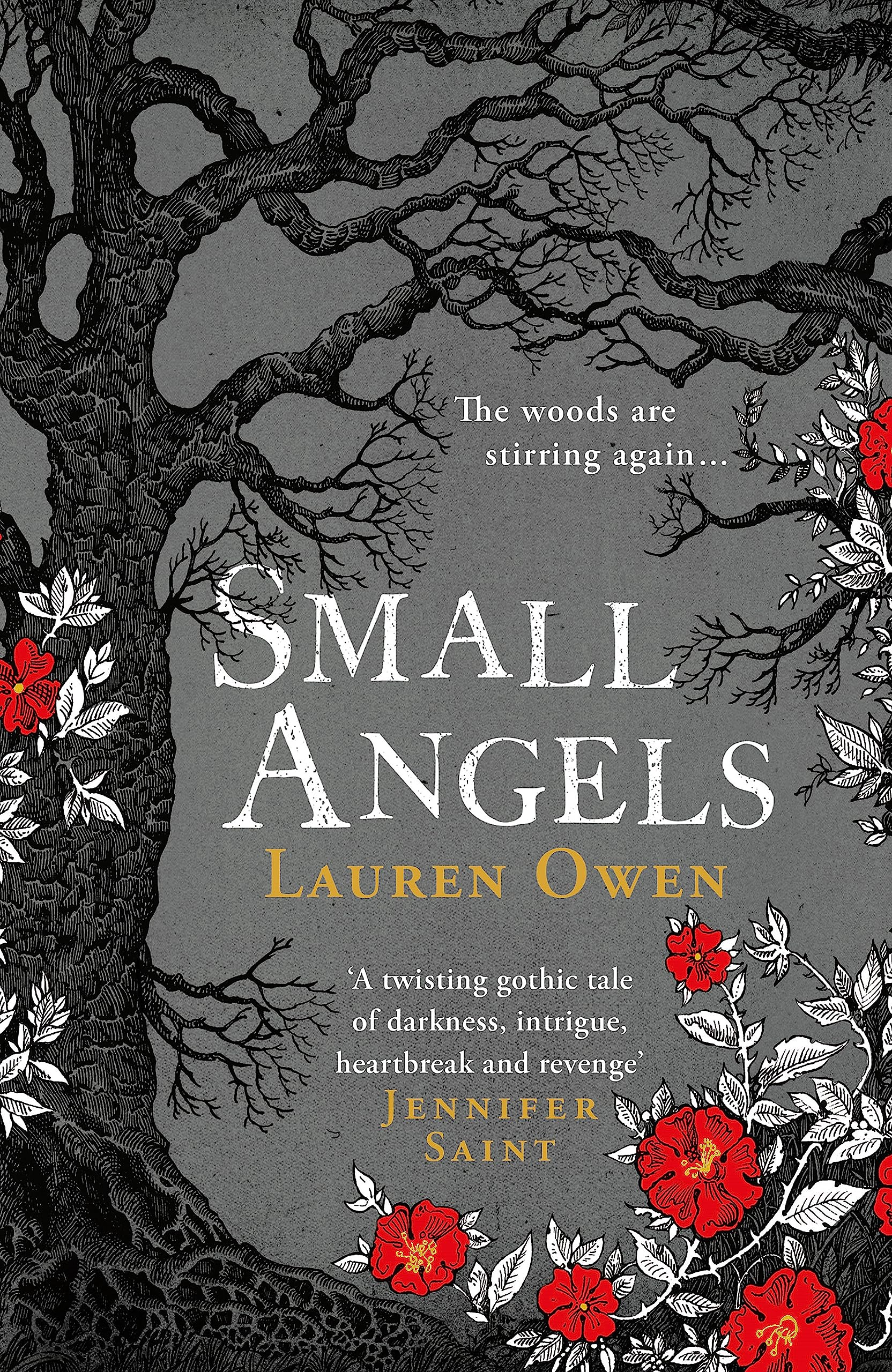 Small Angels: 'A twisting gothic tale of darkness, intrigue, heartbreak and revenge' Jennifer Saint Social Sciences