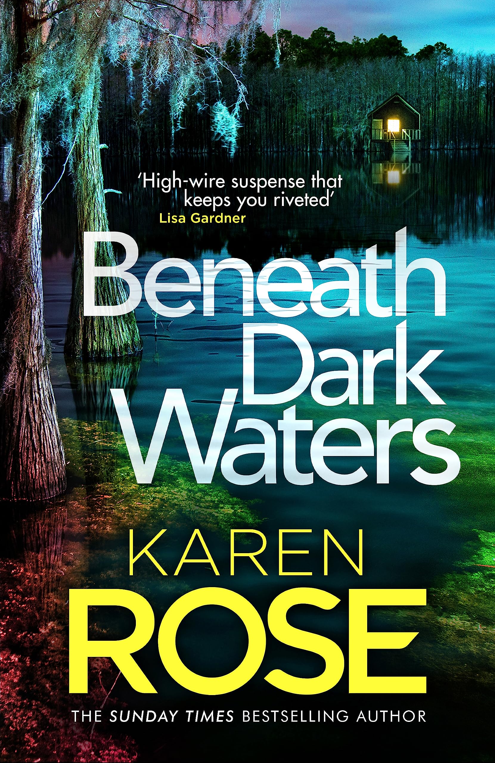 Beneath Dark Waters Contemporary literature Books