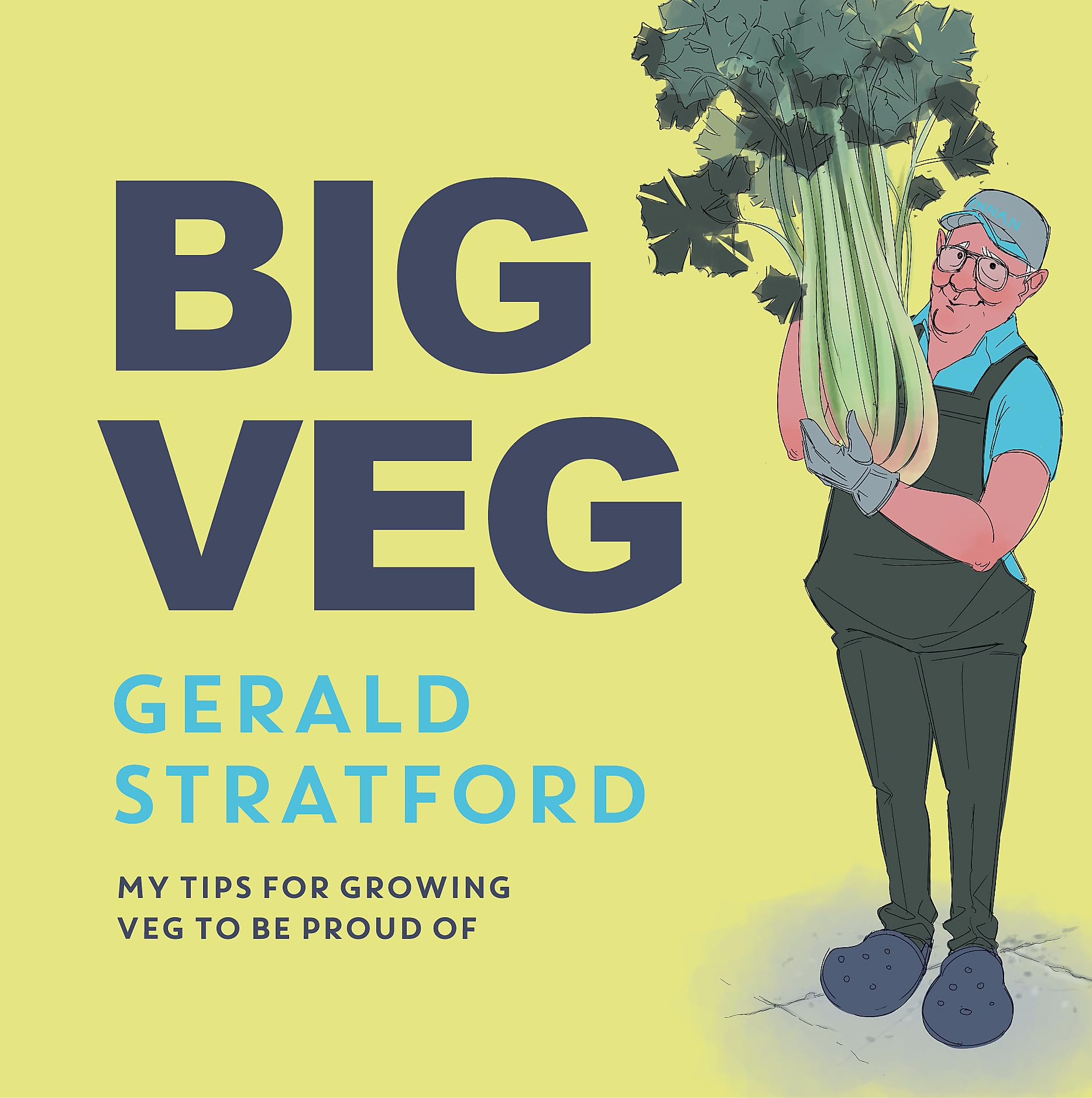 Big Veg Lifestyle Books