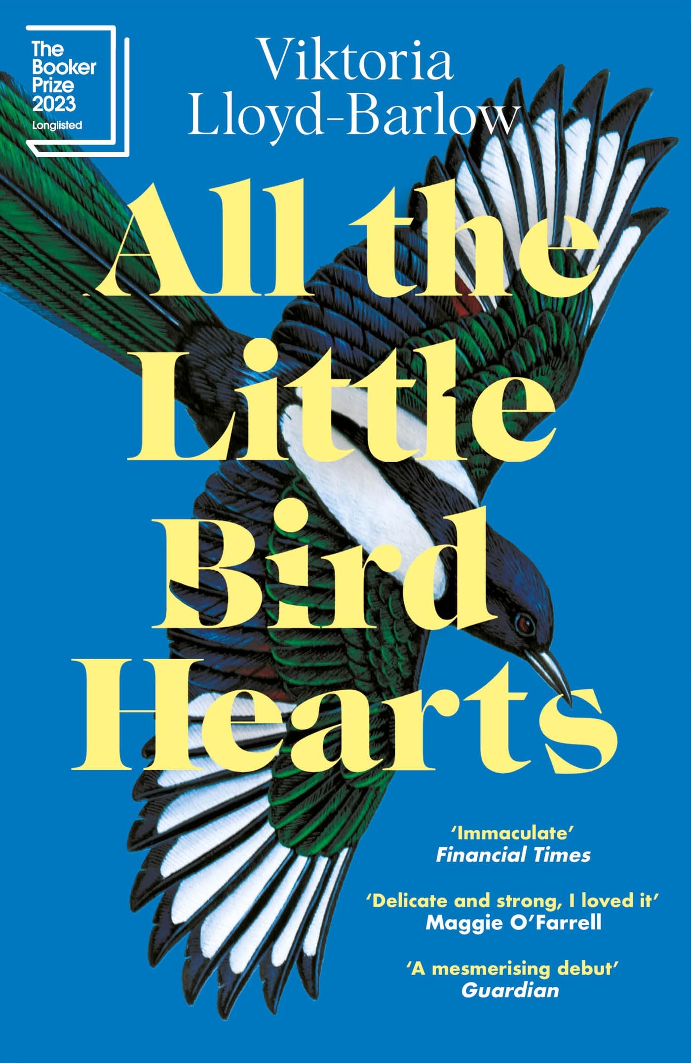 All the Little Bird-Hearts Medicine