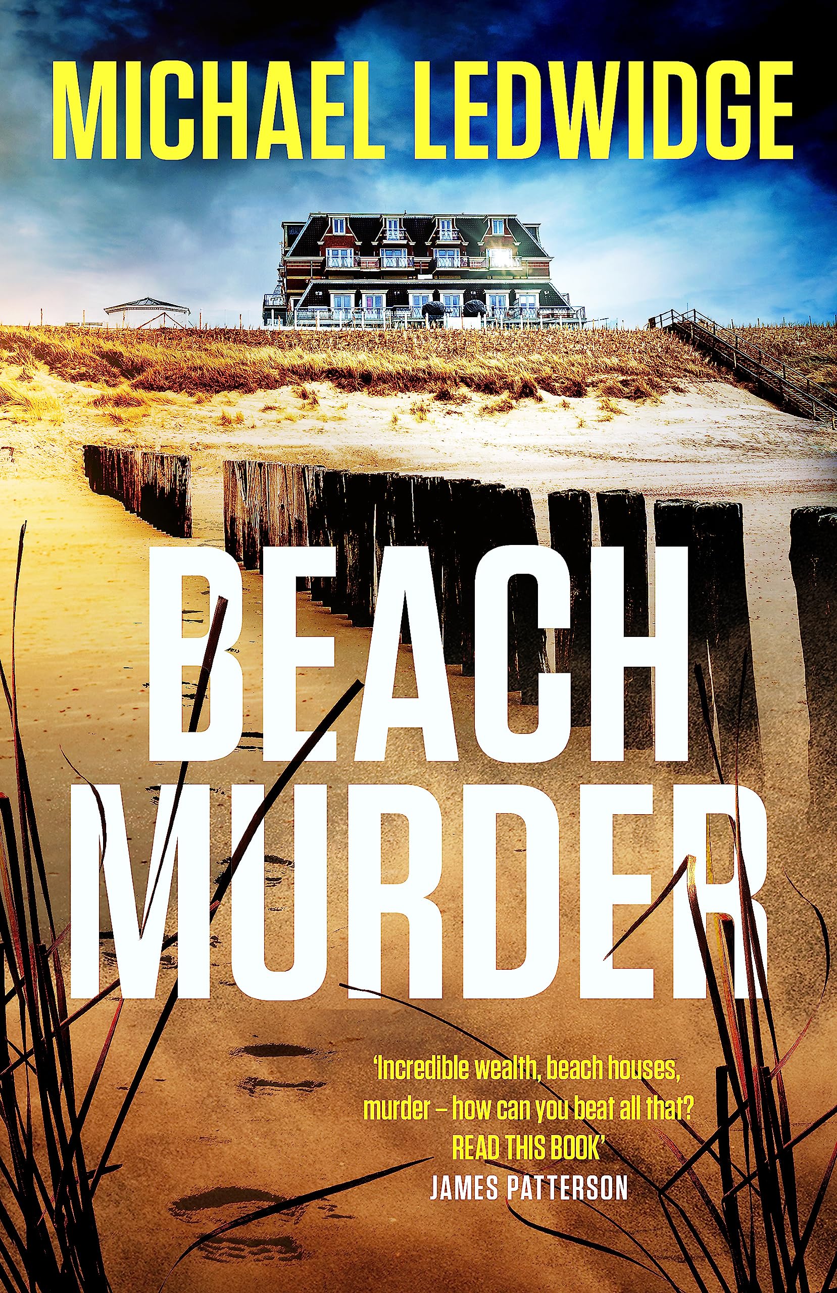 Beach Murder: 'Incredible wealth, beach houses, murder...read this book!' JAMES PATTERSON book
