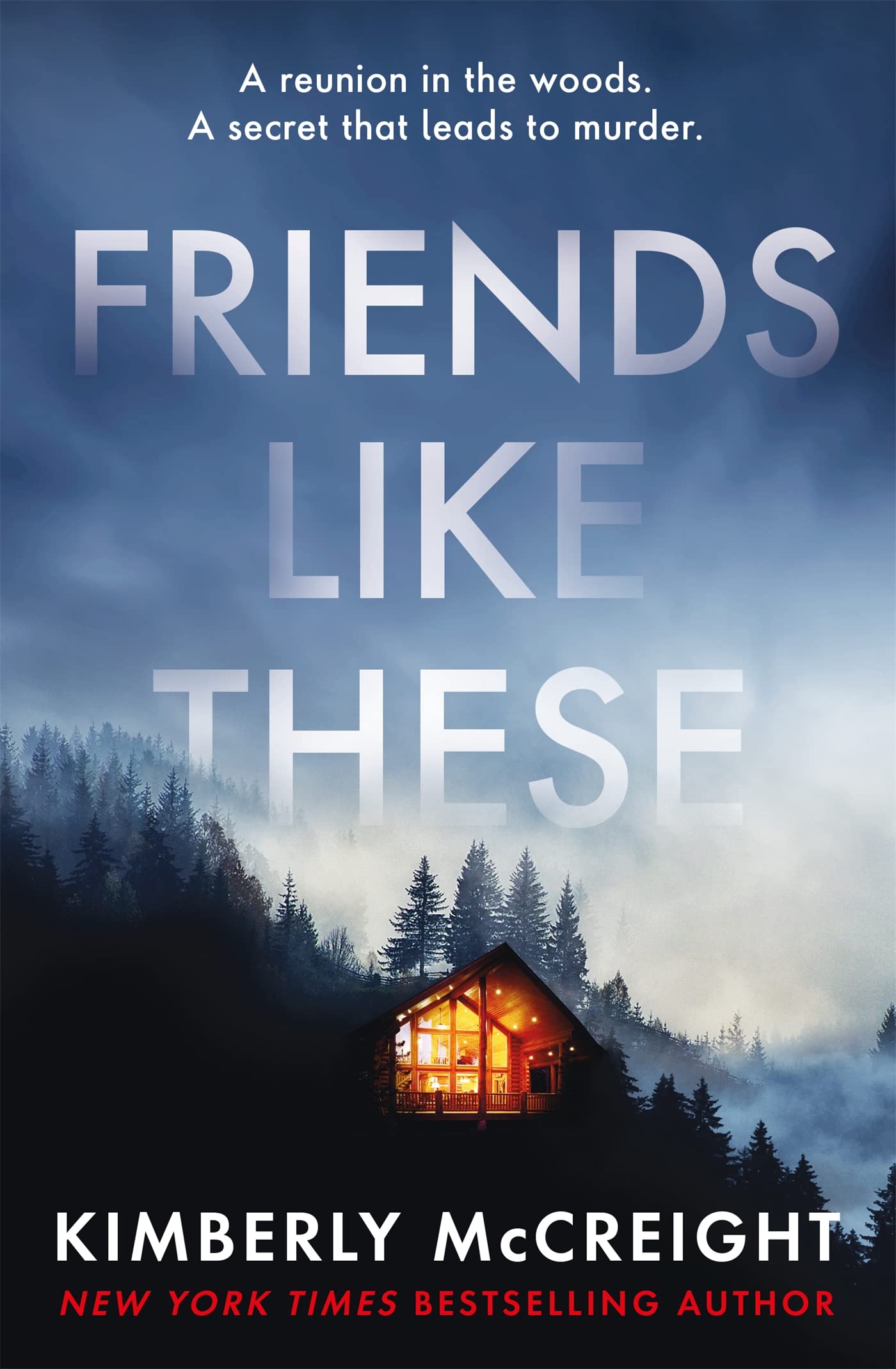 Friends Like These Contemporary literature Books