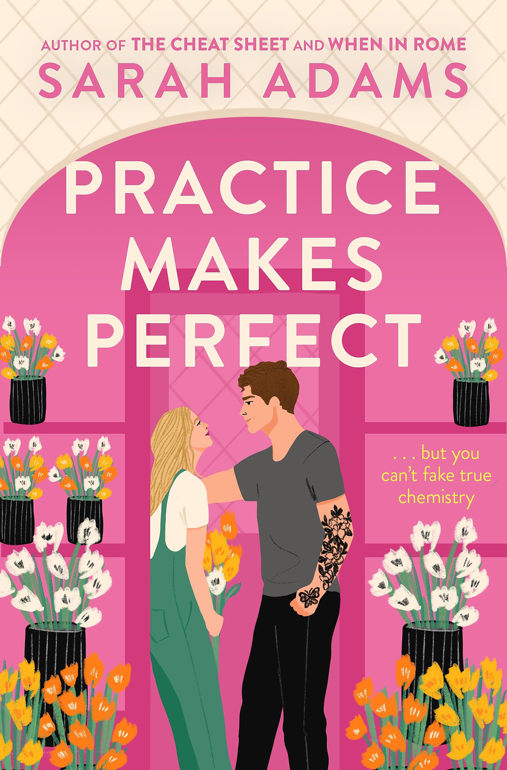 Practice Makes Perfect Contemporary literature Books