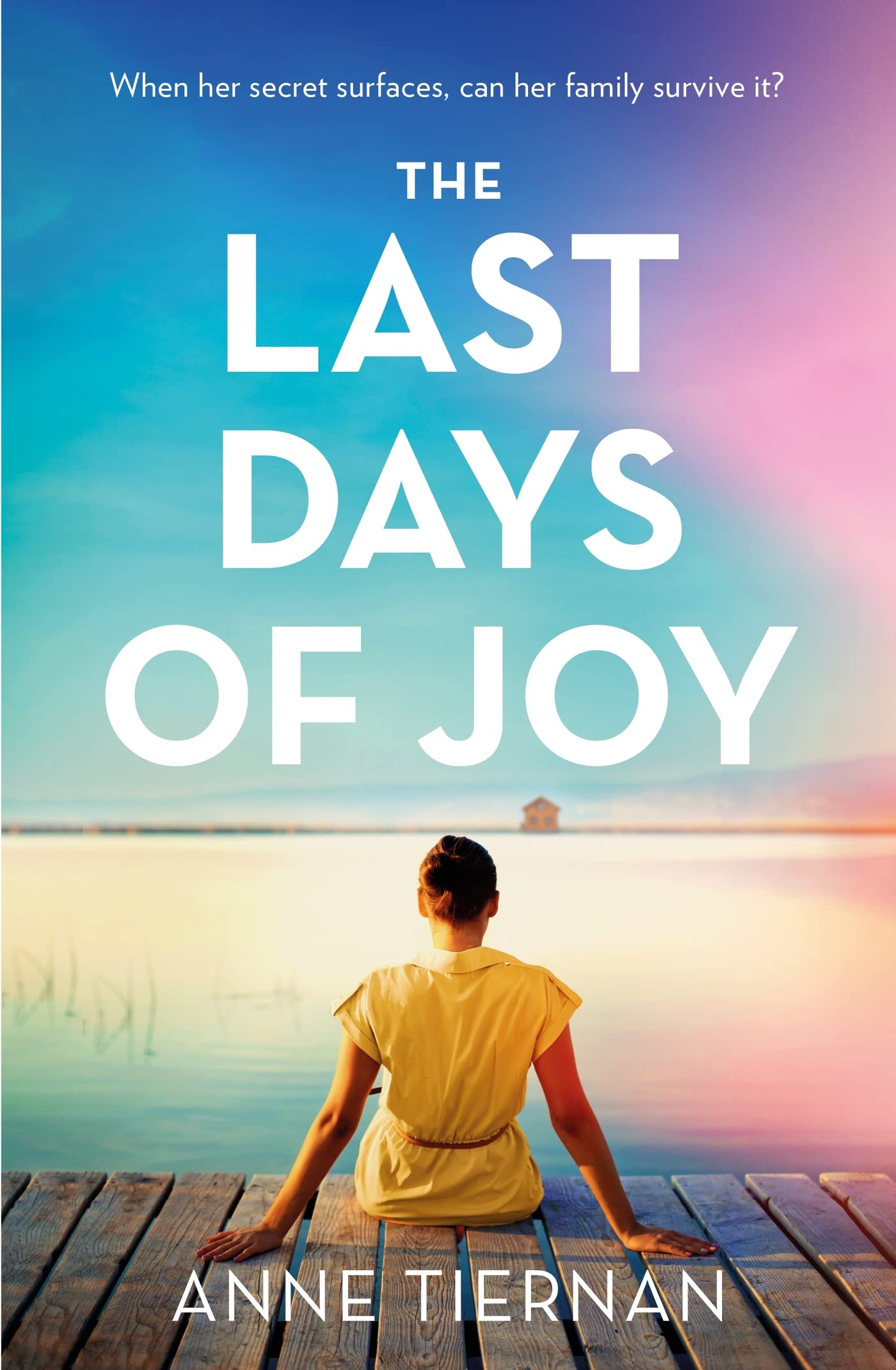 The Last Days of Joy: The bestselling novel of a simmering family secret Contemporary literature Books