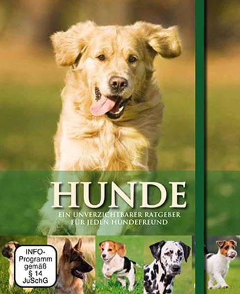 Hunde - Buch & DVD Film, Art & Culture
