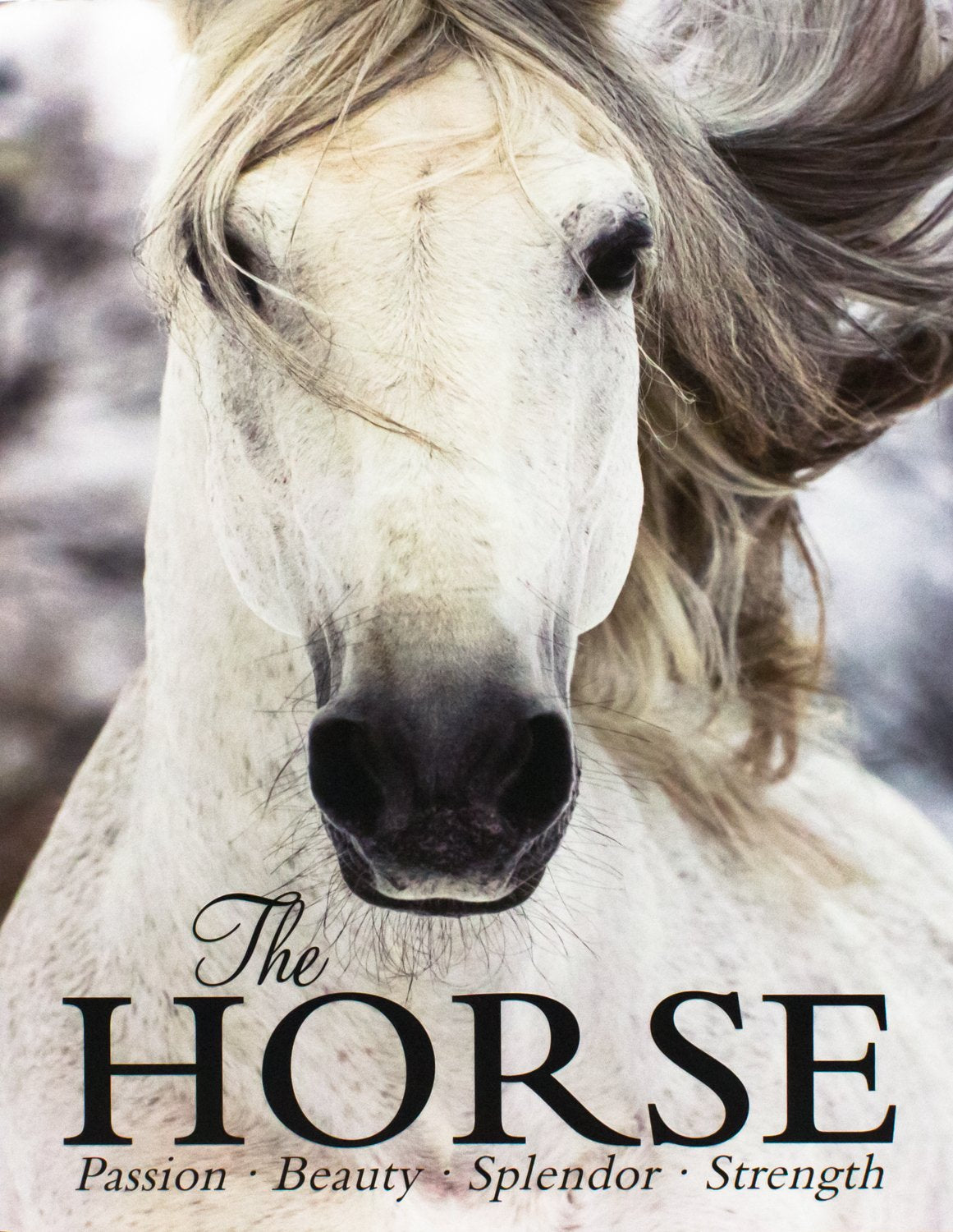 The Horse: Passion, Beauty, Splendor, Strength Pets