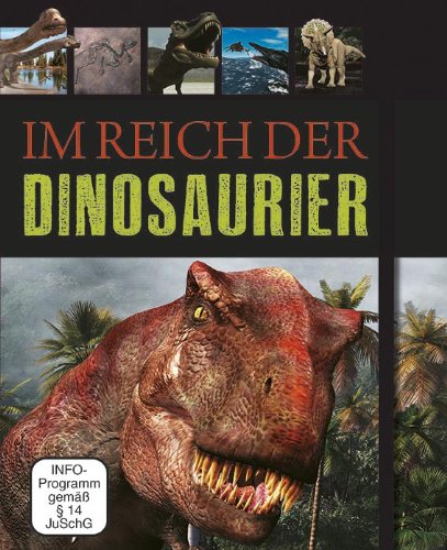 Im Reich der Dinosaurier: Buch & DVD: Discovery World "Alles über T-Rex" Business & Technology