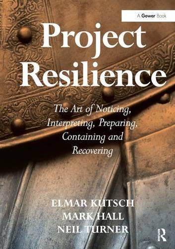 Project Resilience: The Art of Noticing, Interpreting, Preparing, Containing and Recovering Business, Finance & Career