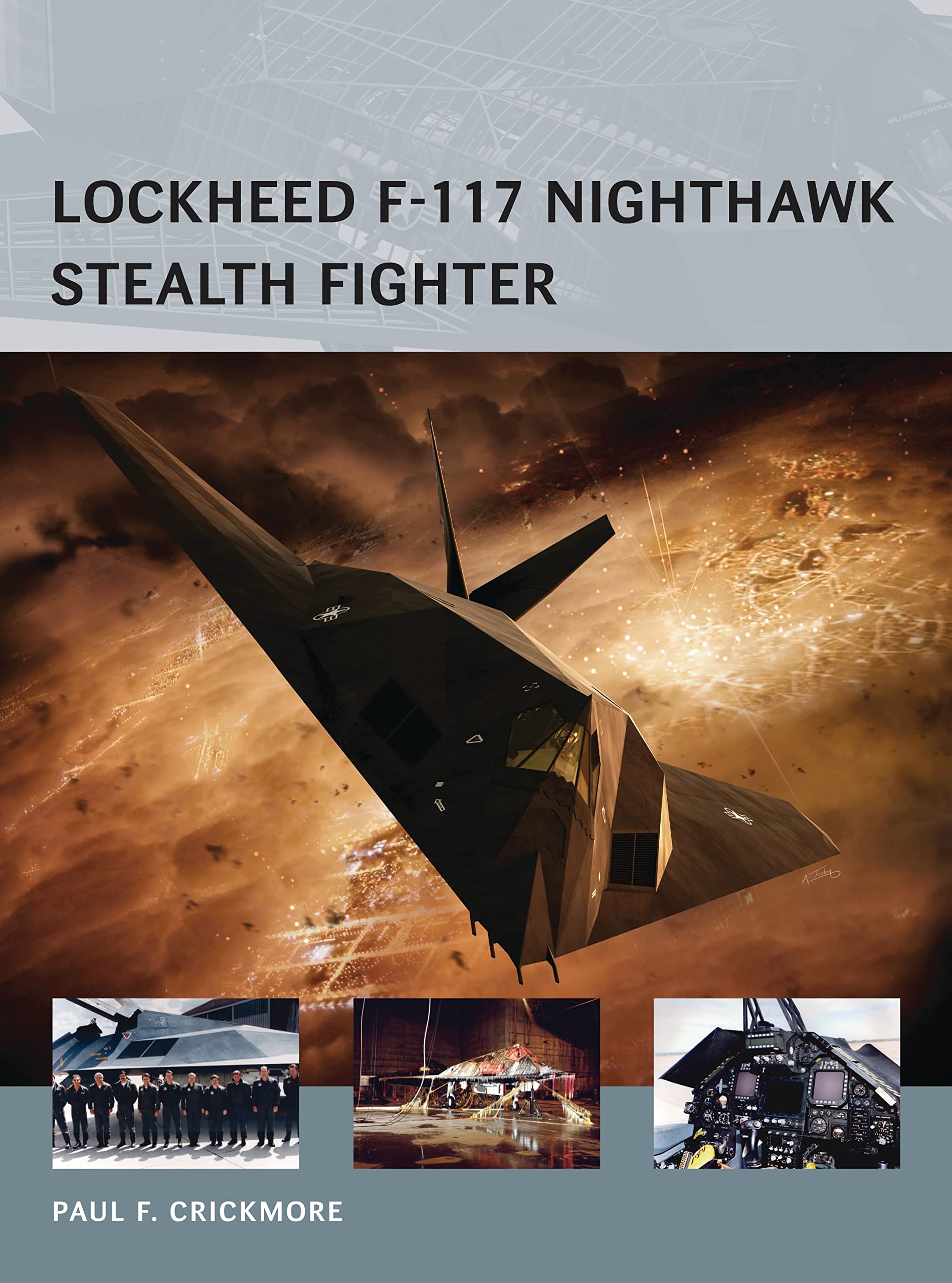Lockheed F-117 Nighthawk Stealth Fighter Social Sciences